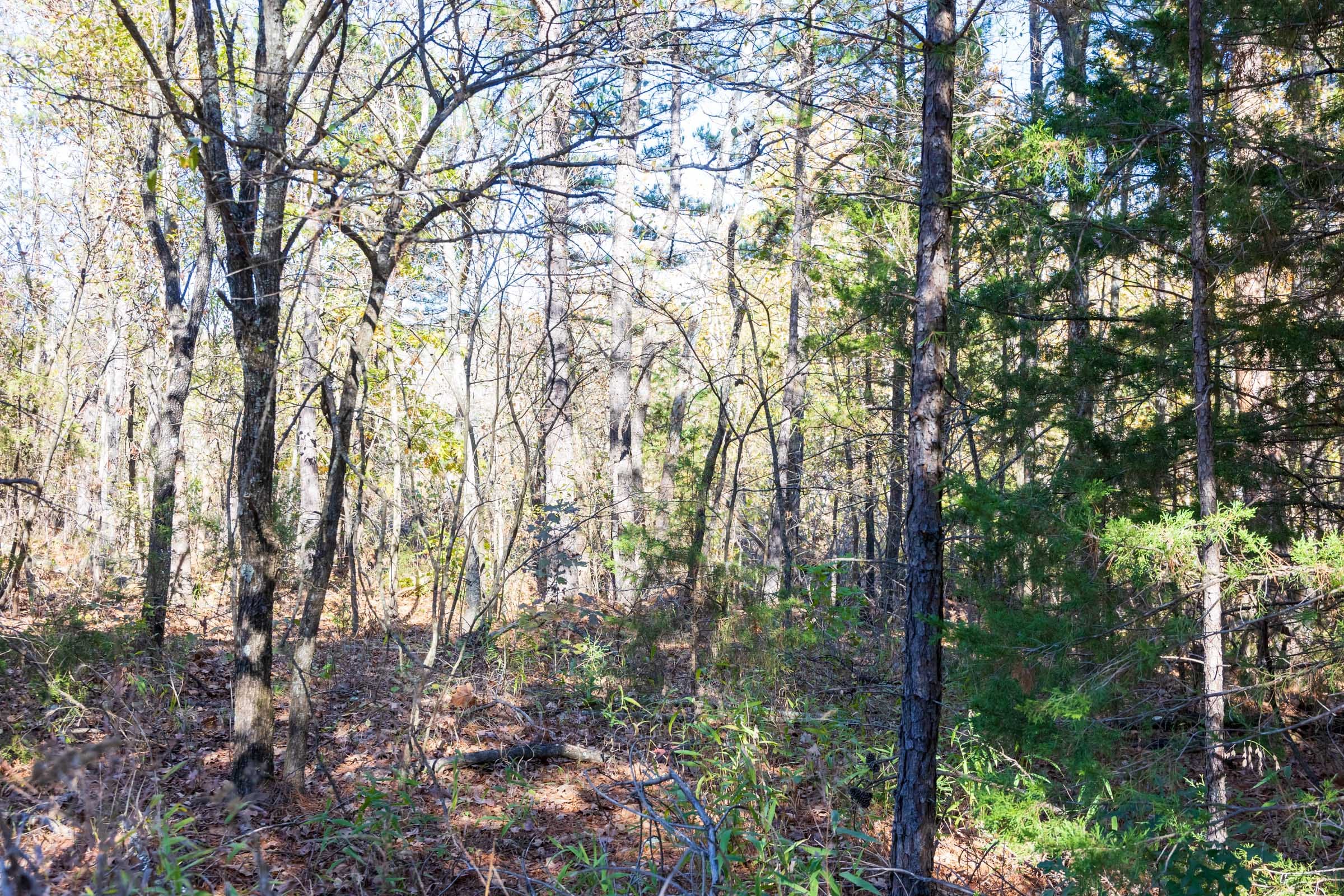 Stone Bridge Reserve Tract 13 photo 12