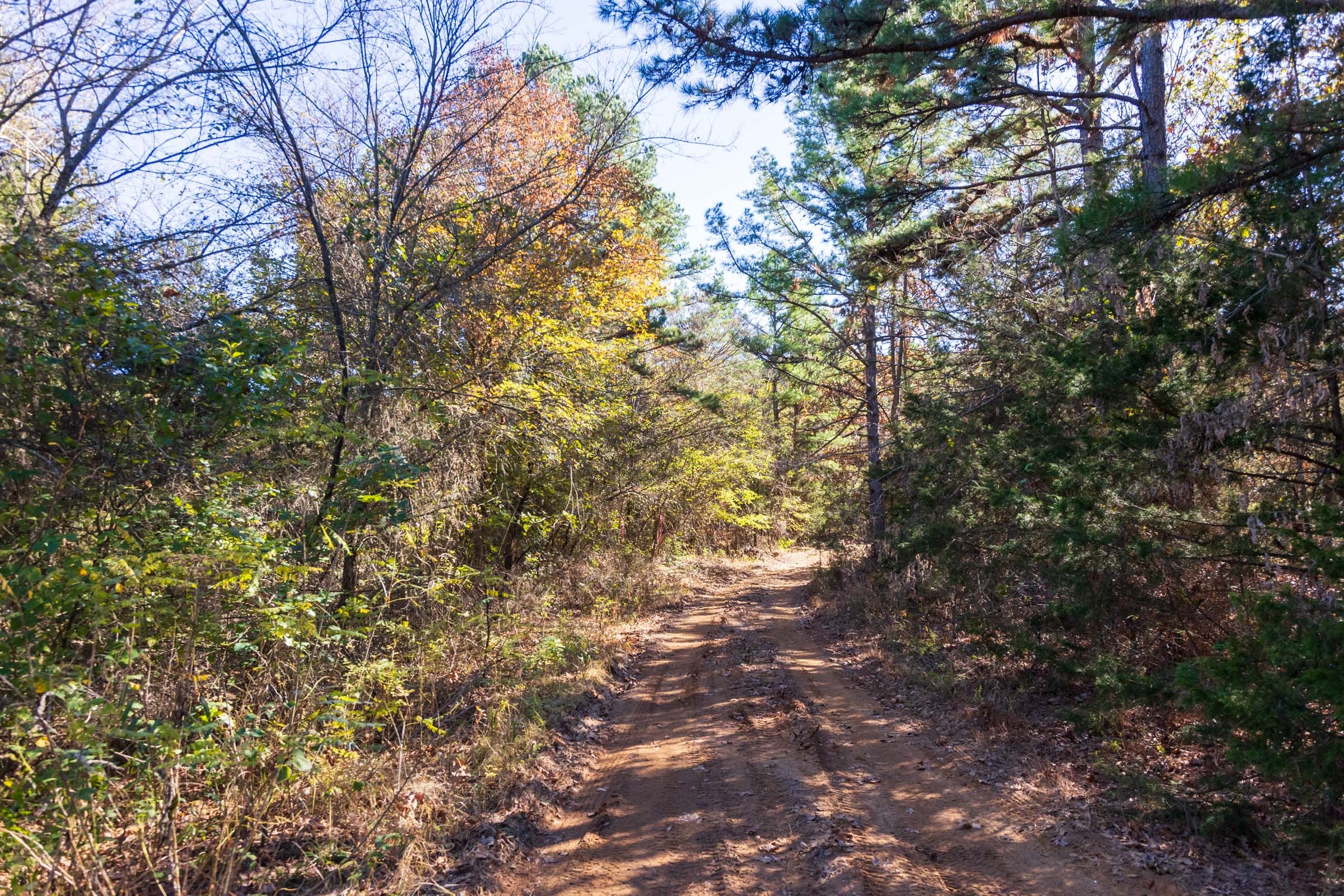 Stone Bridge Reserve Tract 13 photo 10
