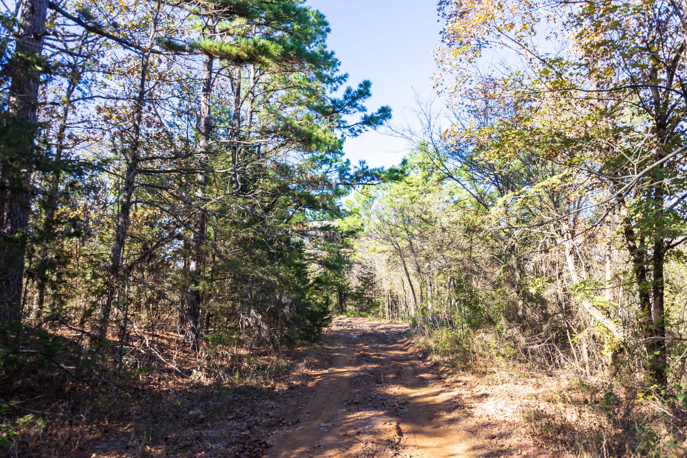 Stone Bridge Reserve Tract 13 photo 11