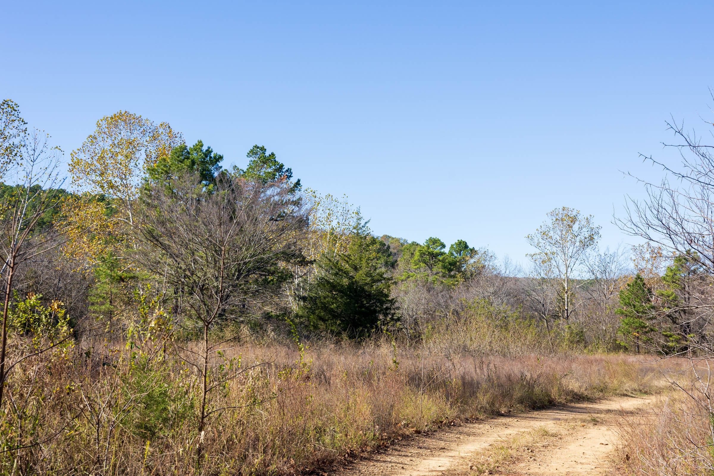 Stone Bridge Reserve Tract 13 photo 8