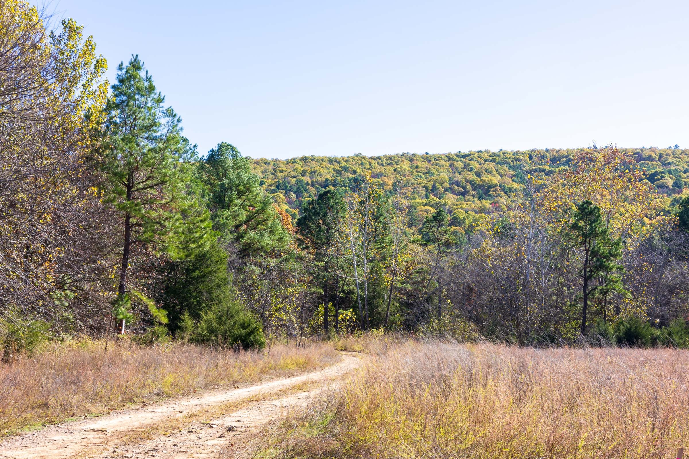 Stone Bridge Reserve Tract 13 photo 6