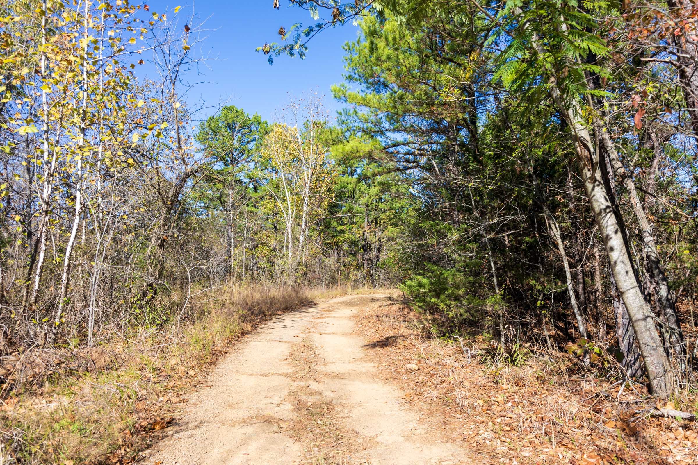 Stone Bridge Reserve Tract 13 photo 1