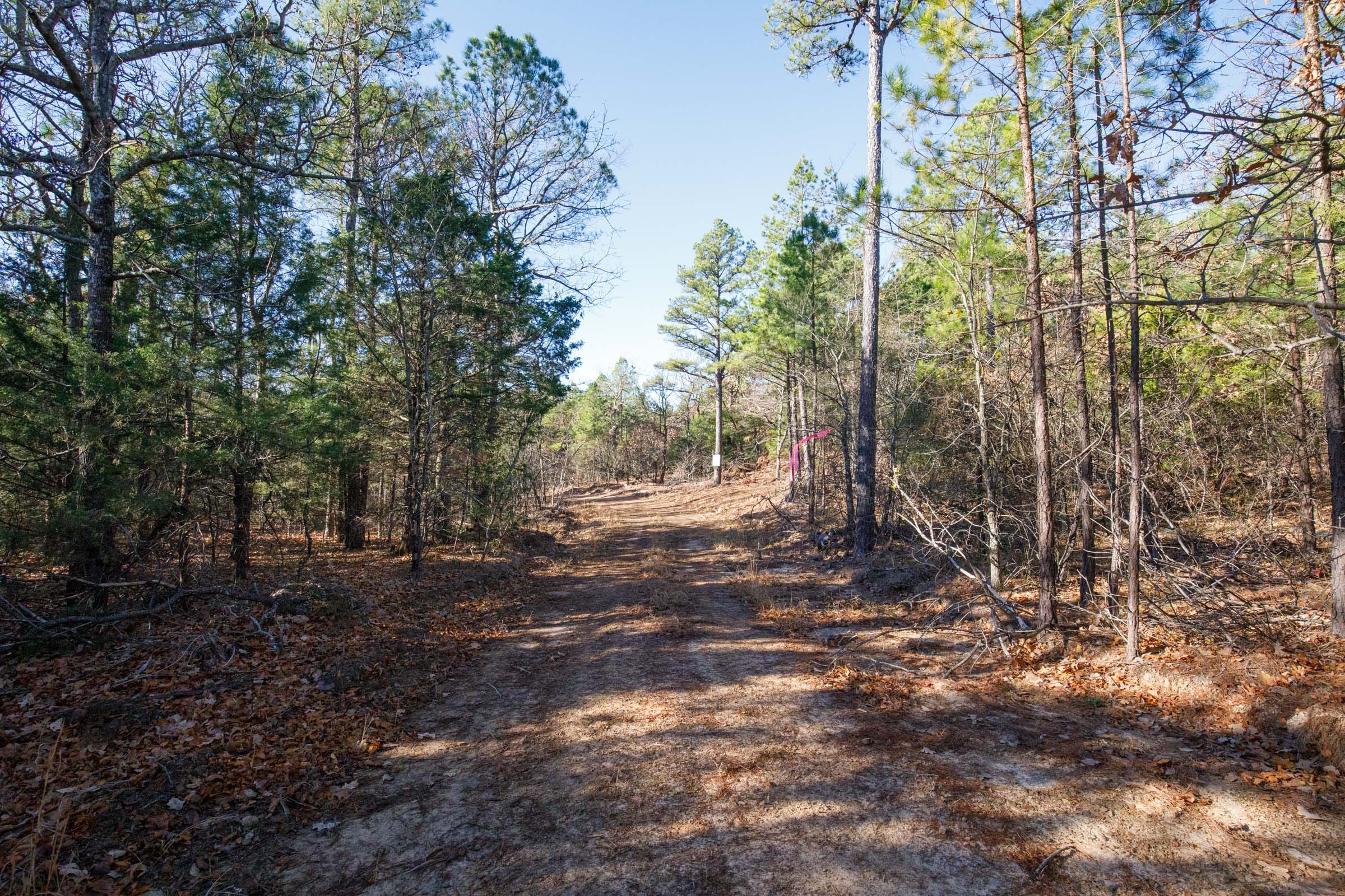 Stone Bridge Phase II Tract 104 photo 1