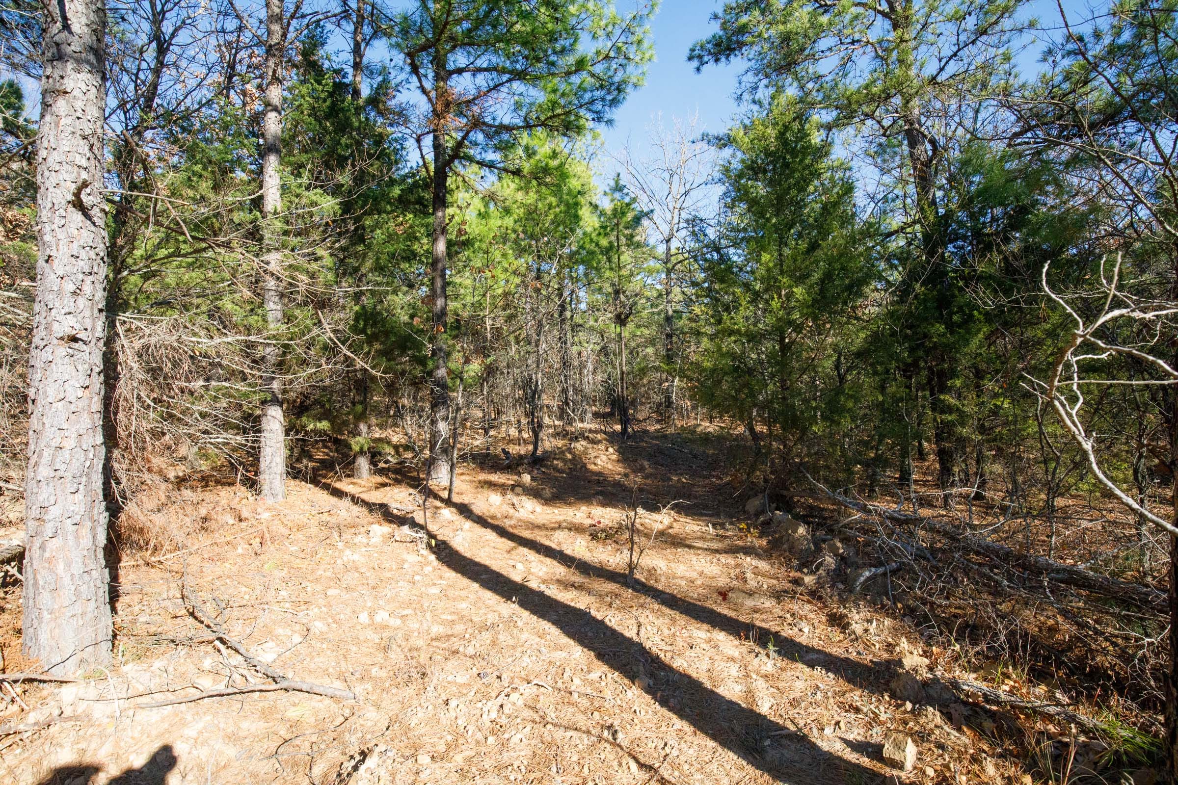 Stone Bridge Phase II Tract 104 photo 3