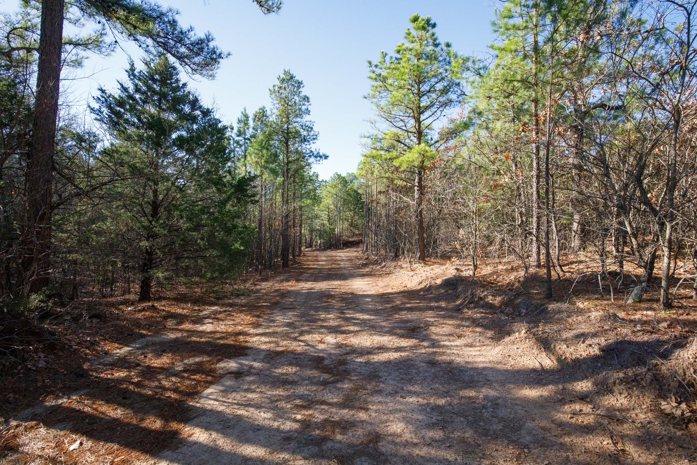 Stone Bridge Phase II Tract 104 photo 4