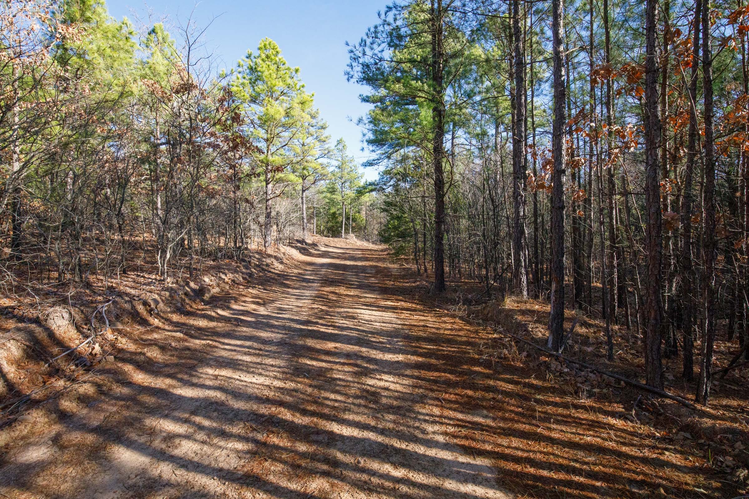 Stone Bridge Phase II Tract 104 photo 7
