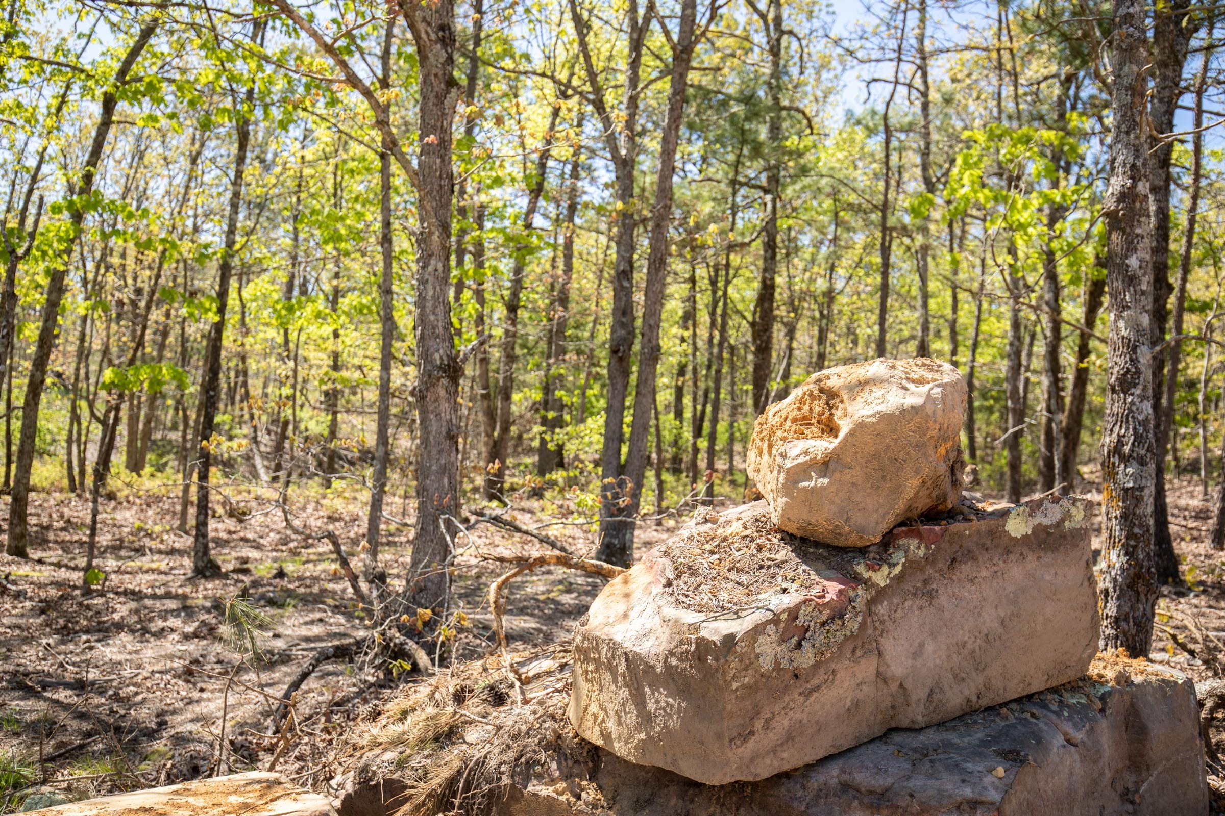 Eagle’s Nest Tract 19 photo 3