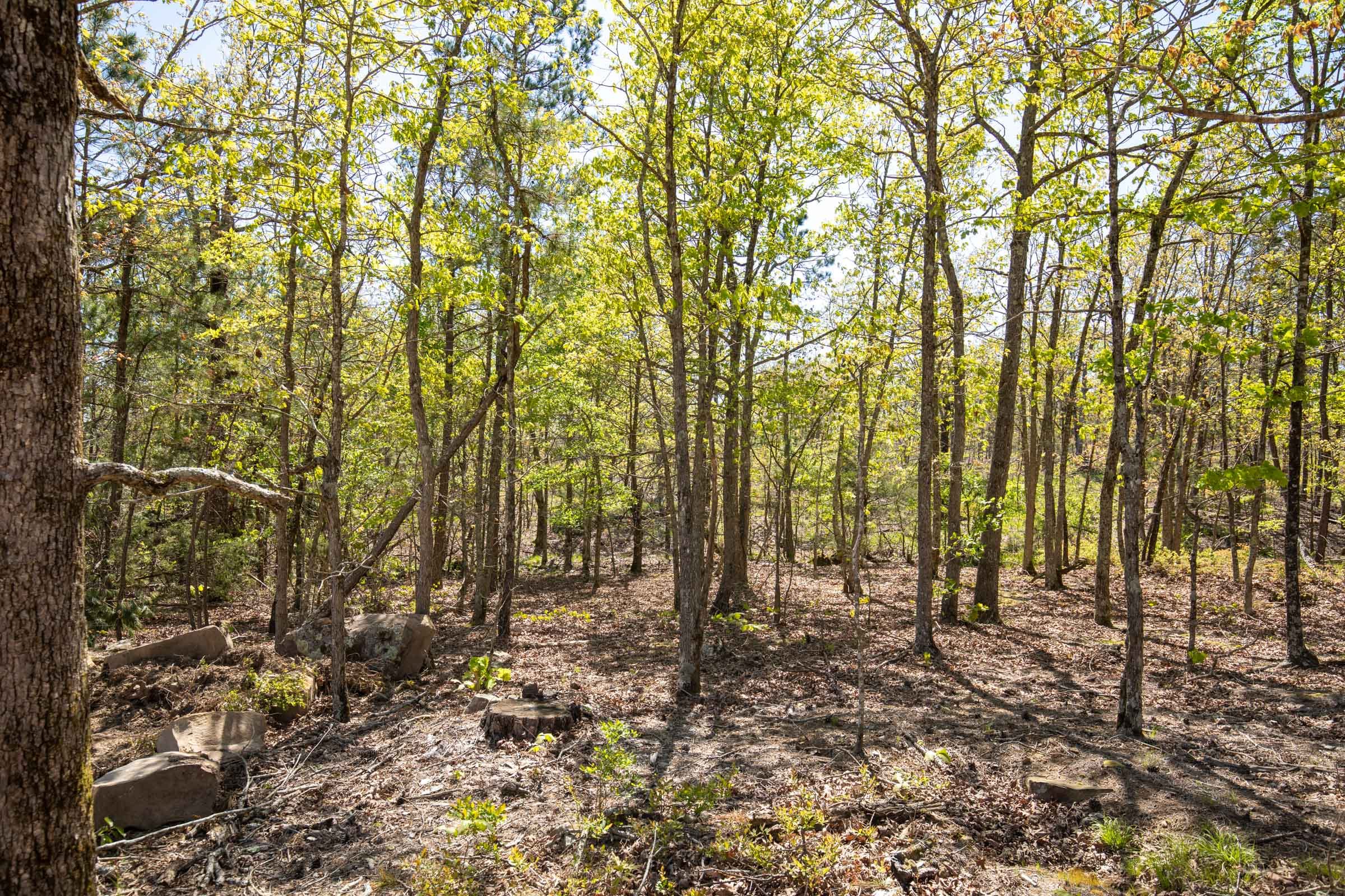 Eagle’s Nest Tract 19 photo 4