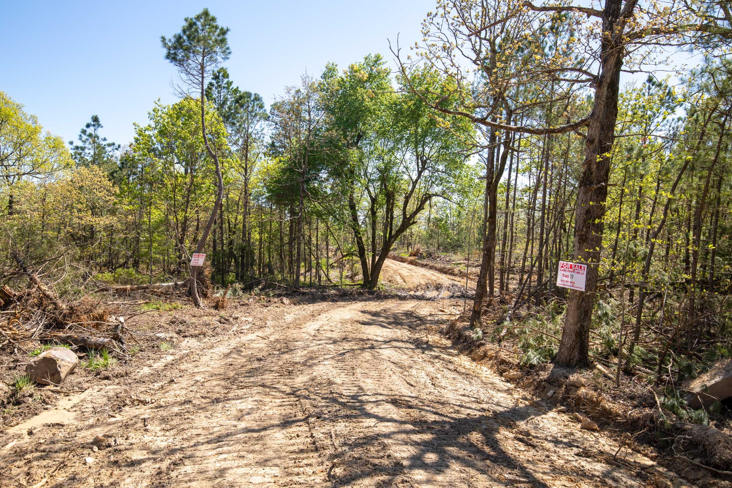 Eagle’s Nest Tract 19 photo 2