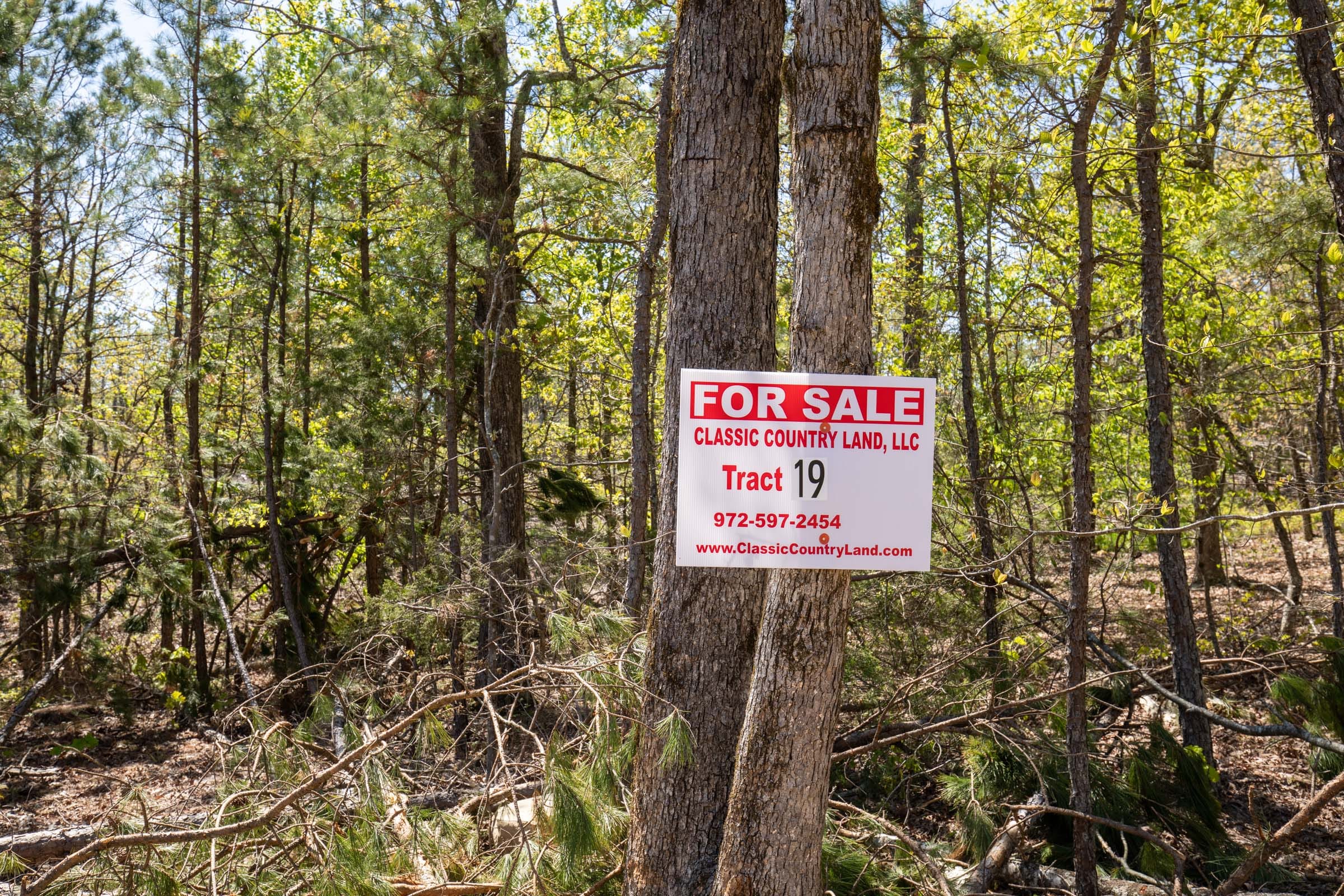 Eagle’s Nest Tract 19 photo 1