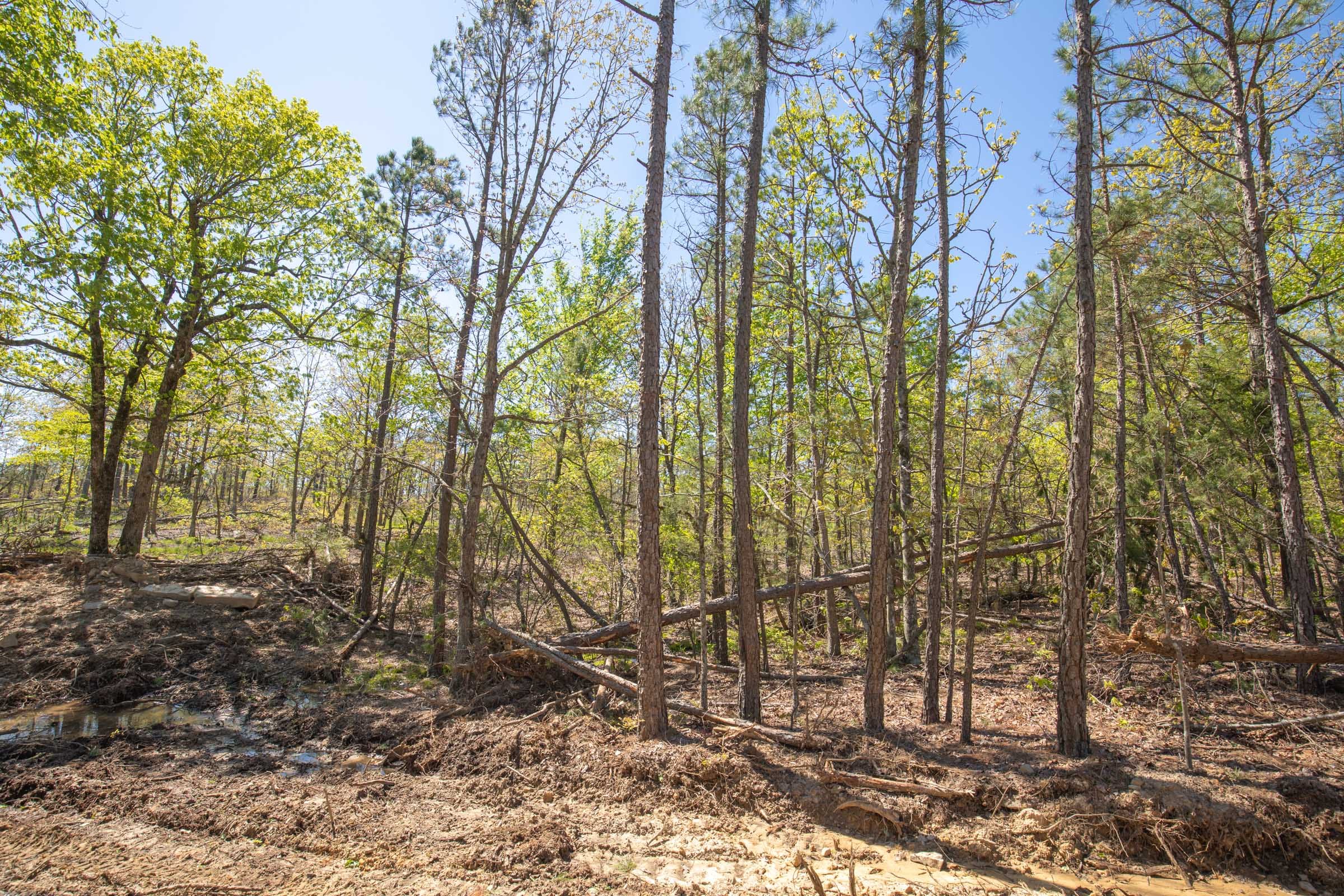Eagle’s Nest Tract 19 photo 5