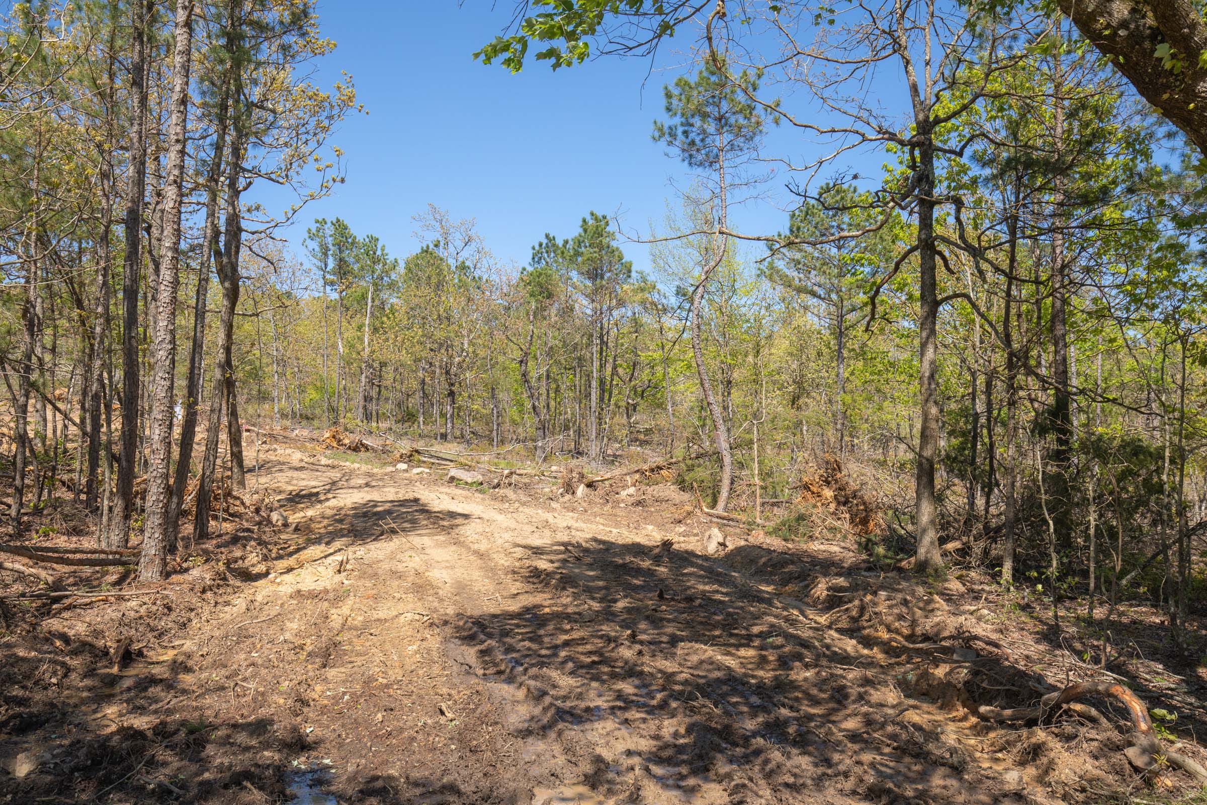 Eagle’s Nest Tract 19 photo 6