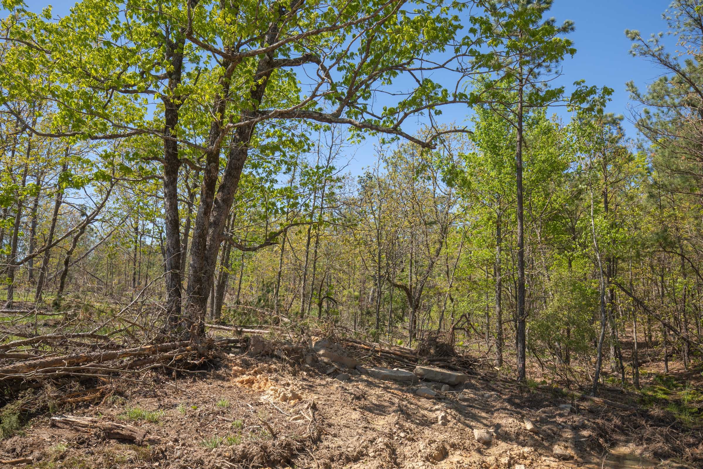 Eagle’s Nest Tract 19 photo 7
