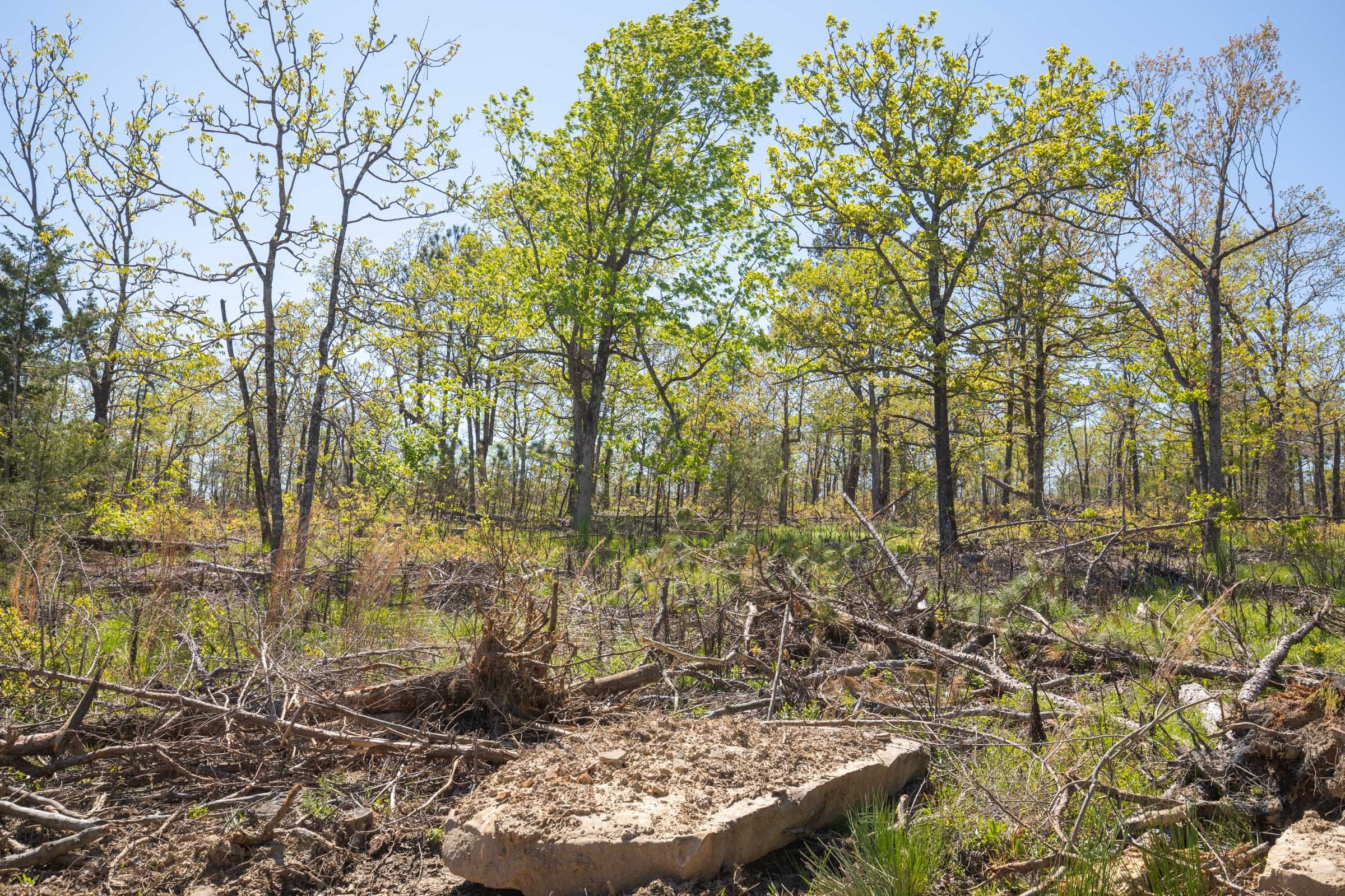 Eagle’s Nest Tract 19 photo 8