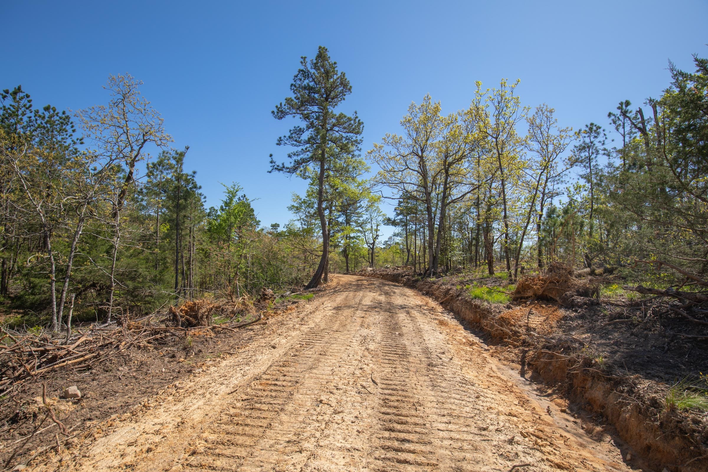 Eagle’s Nest Tract 19 photo 9