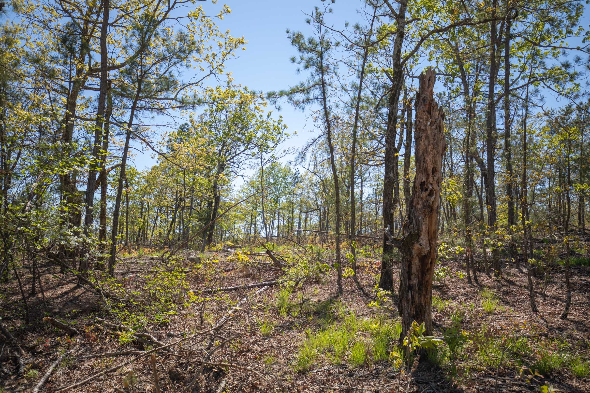 Eagle’s Nest Tract 19 photo 10