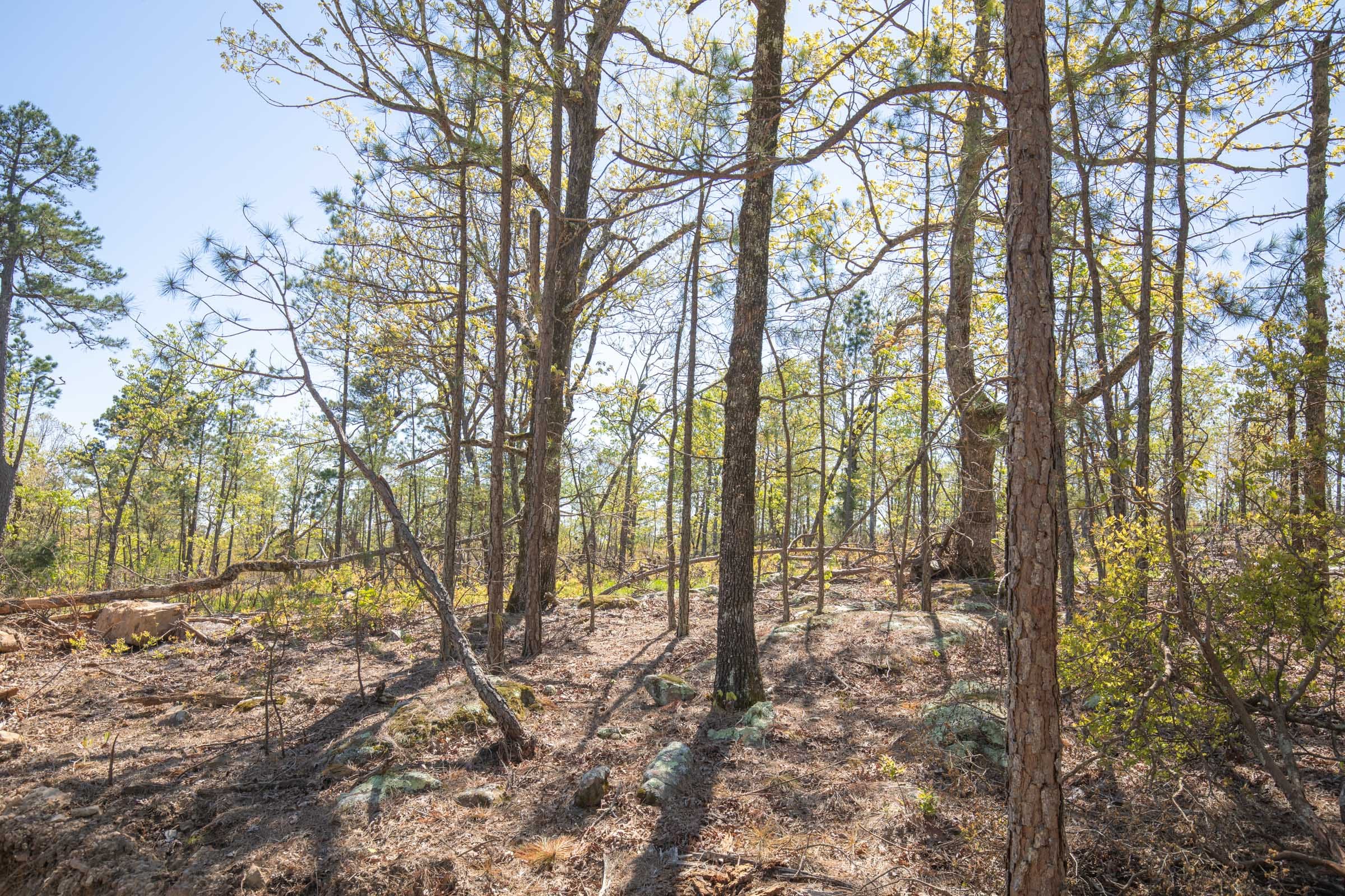 Eagle’s Nest Tract 19 photo 11
