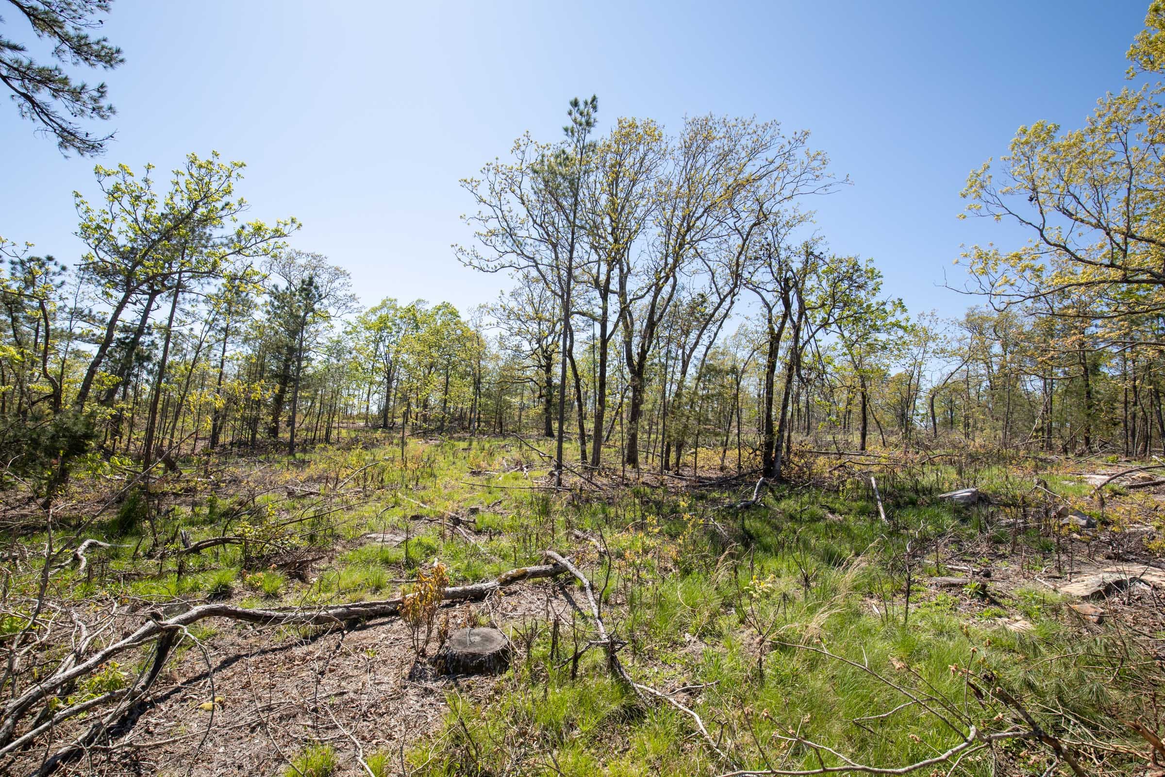 Eagle’s Nest Tract 19 photo 12