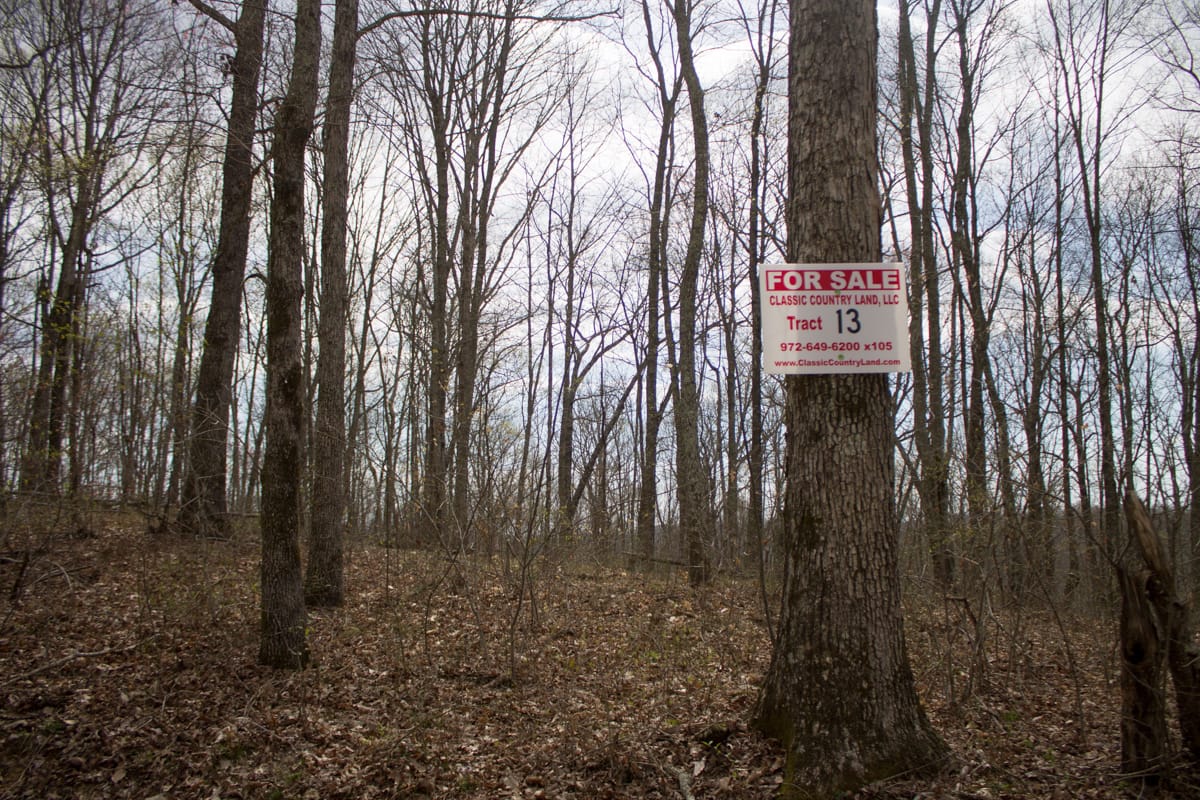 Chestnut Oak Ridge Tract 13 photo 1