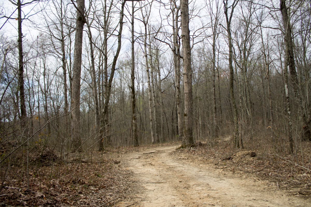 Chestnut Oak Ridge Tract 13 photo 2