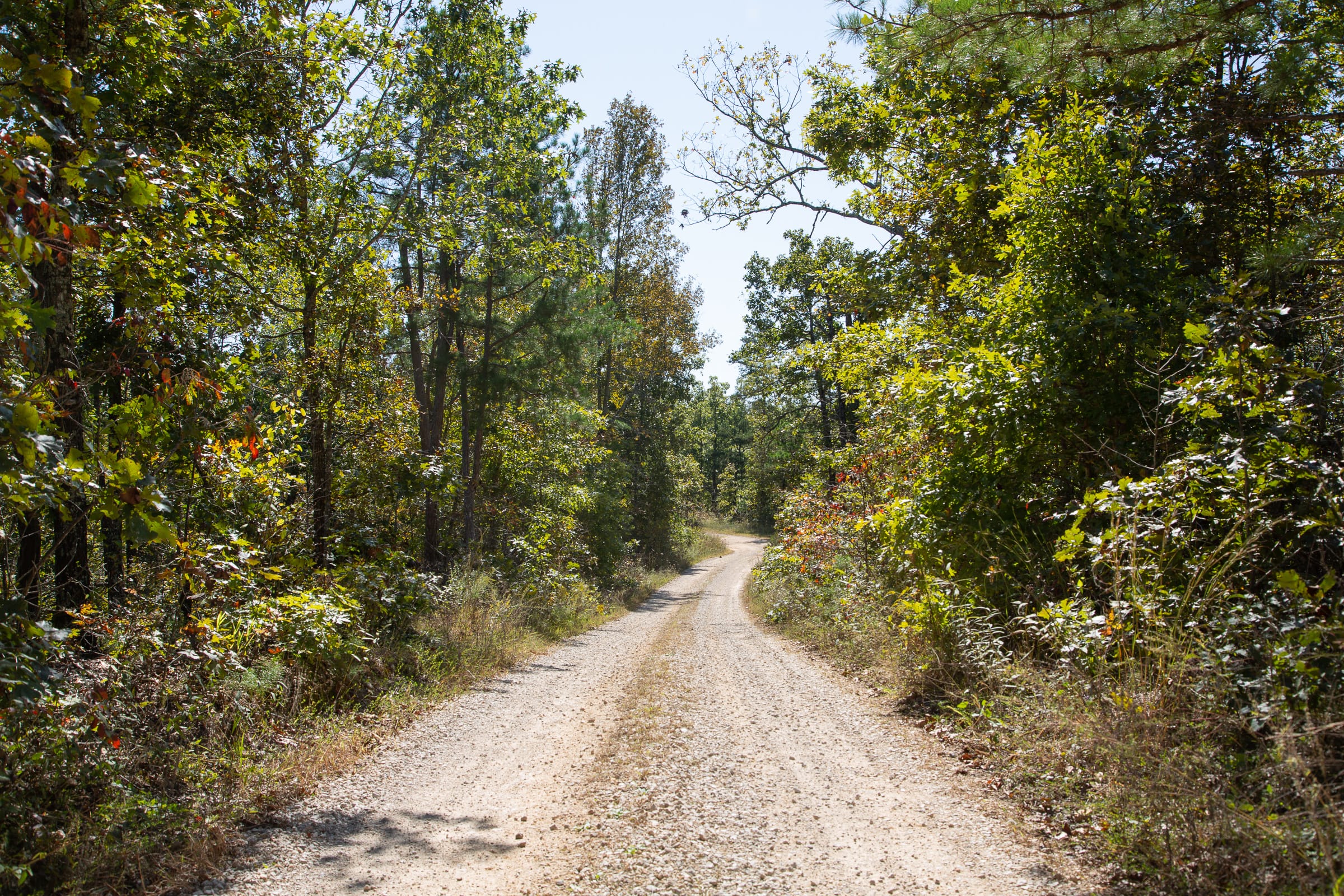 Borgmann’s Hollow Phase III Tract 92 photo 1