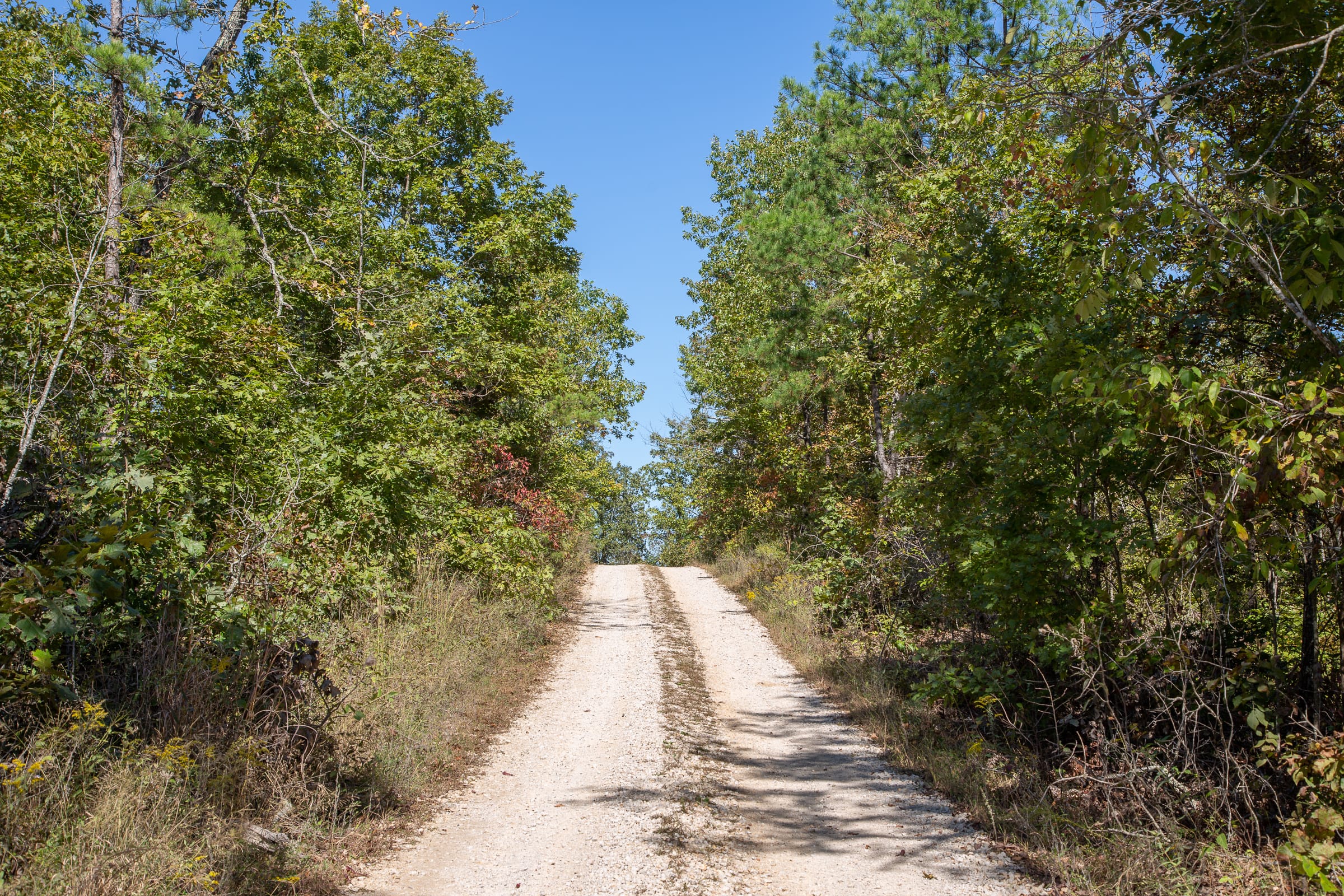 Borgmann’s Hollow Phase III Tract 92 photo 7