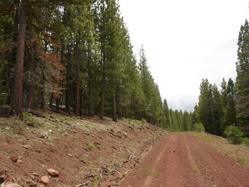 California Pines Tract 20 photo 3