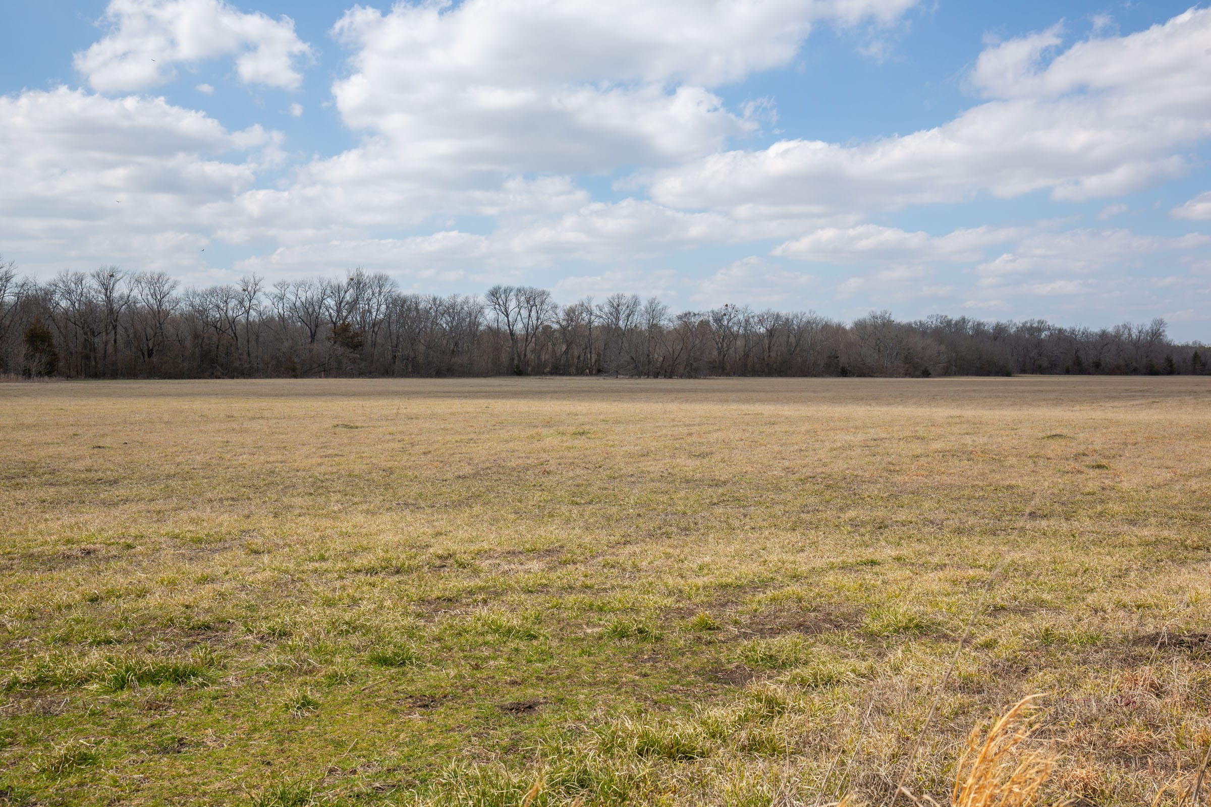Wishing Star Ranch Tract 93 photo 5
