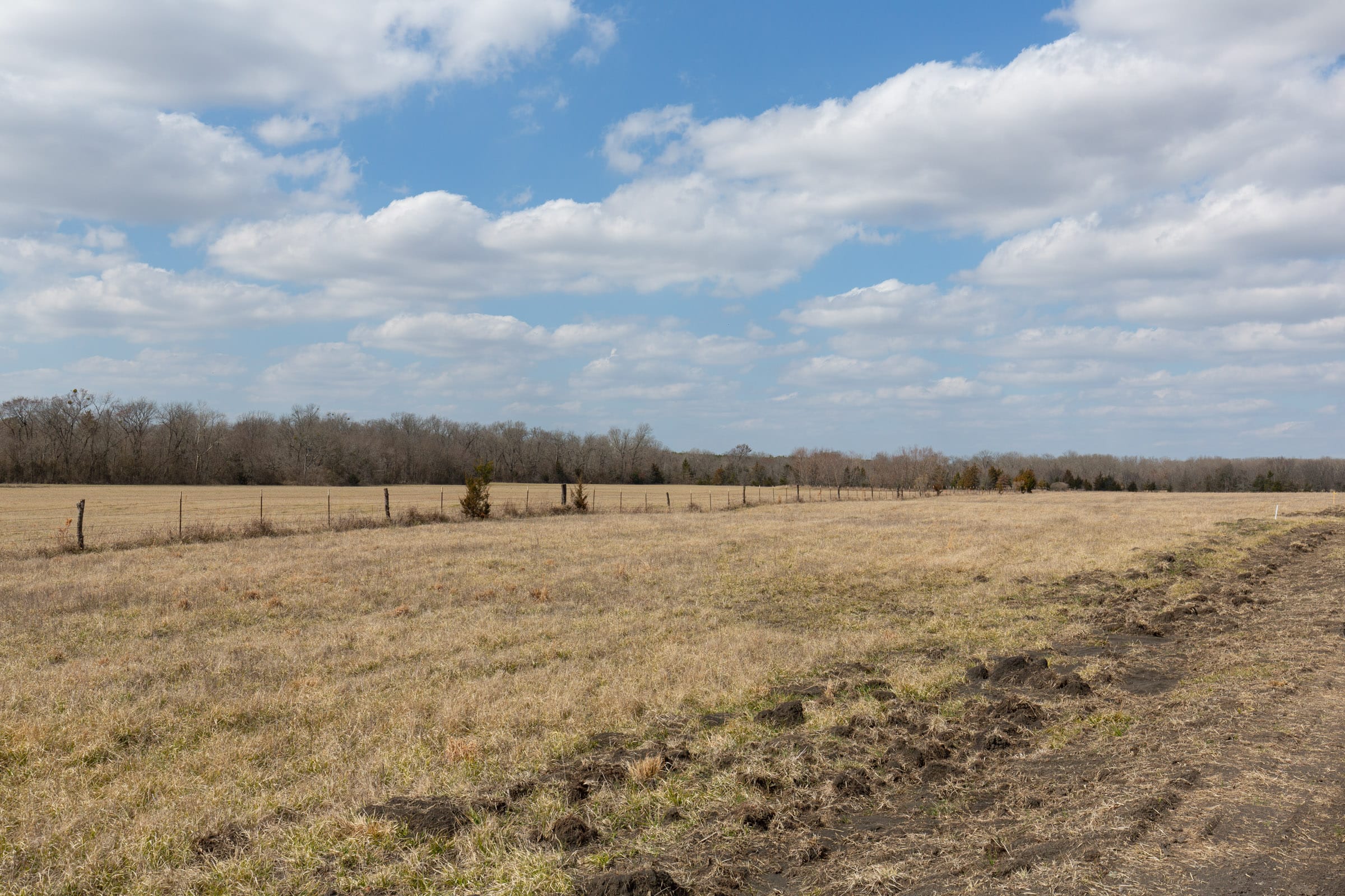 Wishing Star Ranch Tract 93 photo 6