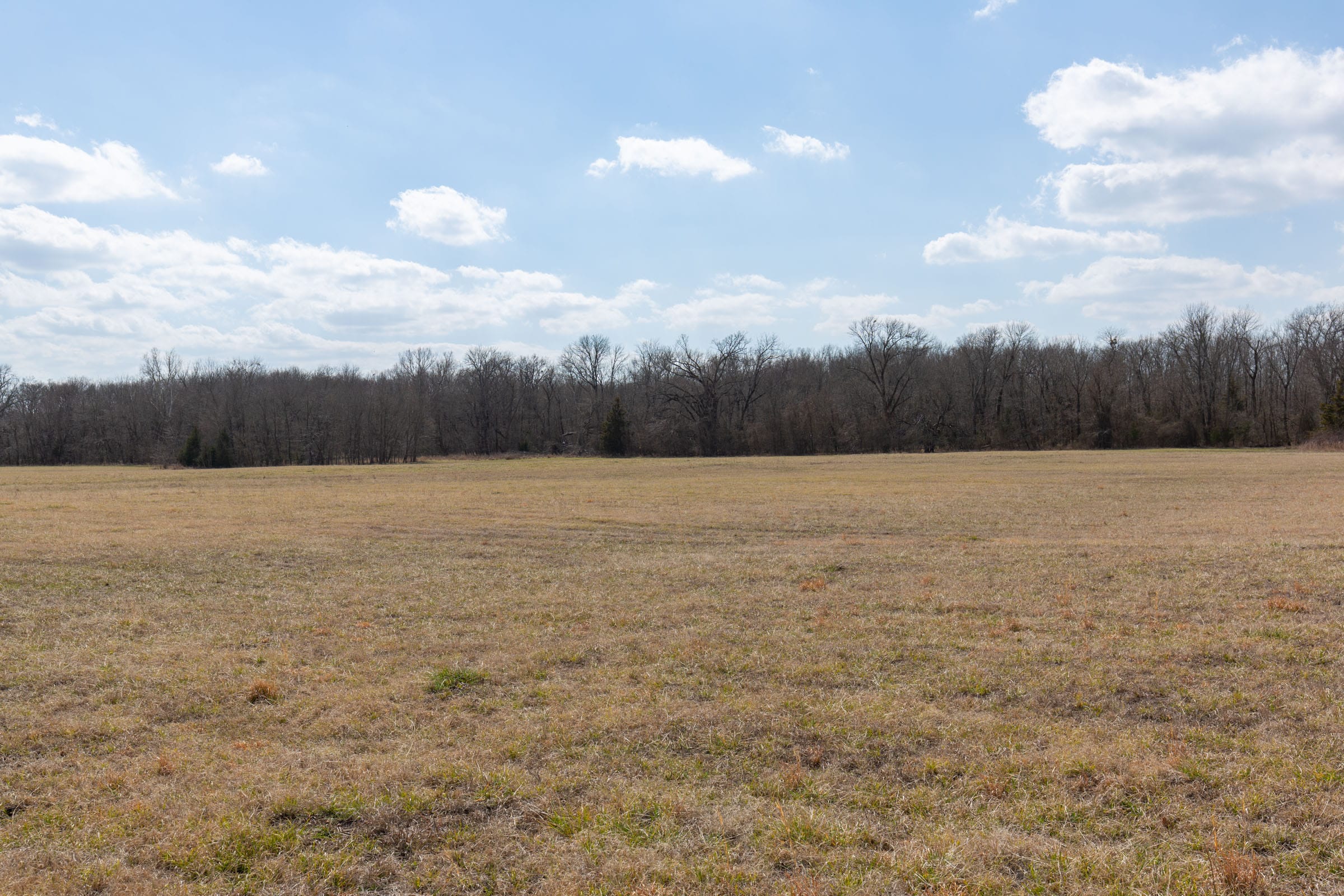 Wishing Star Ranch Tract 93 photo 7