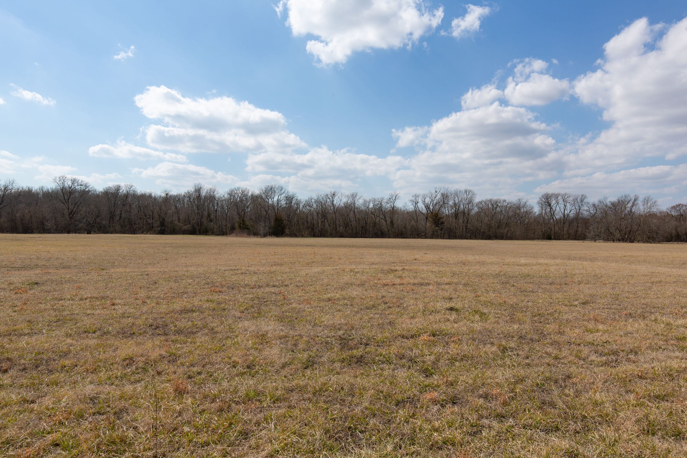 Wishing Star Ranch Tract 93 photo 8
