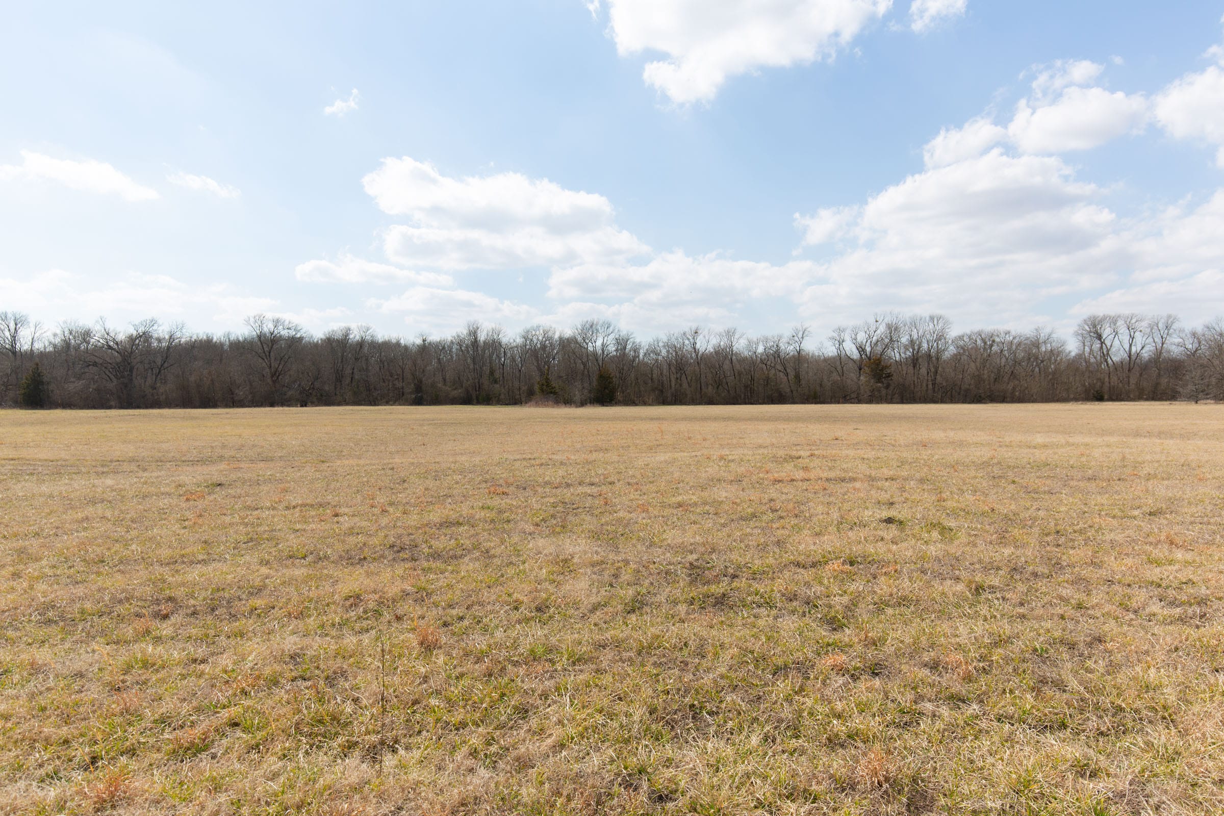 Wishing Star Ranch Tract 93 photo 11