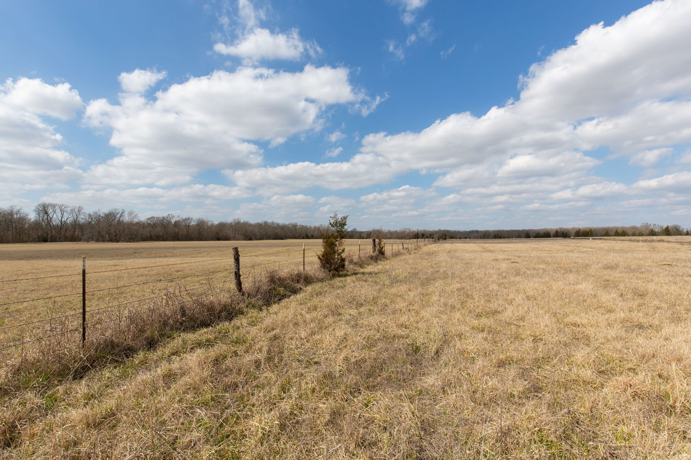 Wishing Star Ranch Tract 93 photo 13