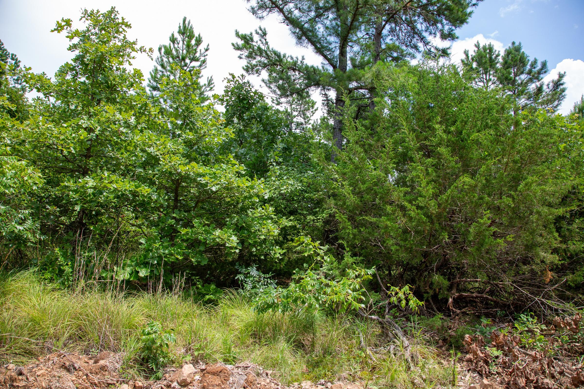 Tyler Stone Ranch Tract 44 photo 3