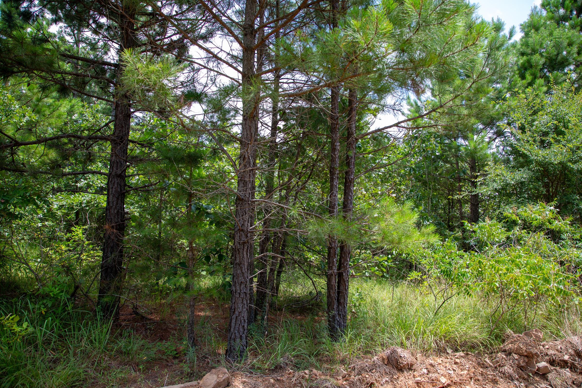 Tyler Stone Ranch Tract 44 photo 1