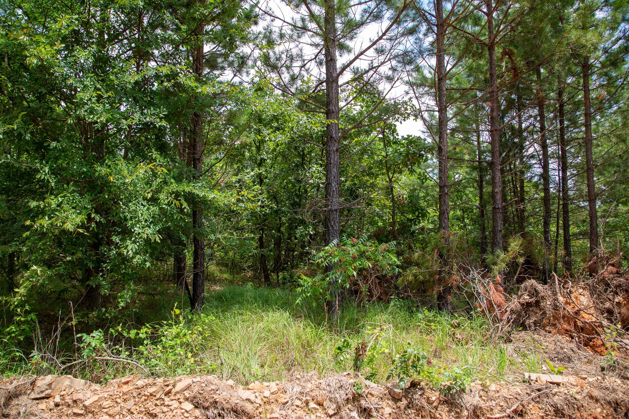 Tyler Stone Ranch Tract 44 photo 4