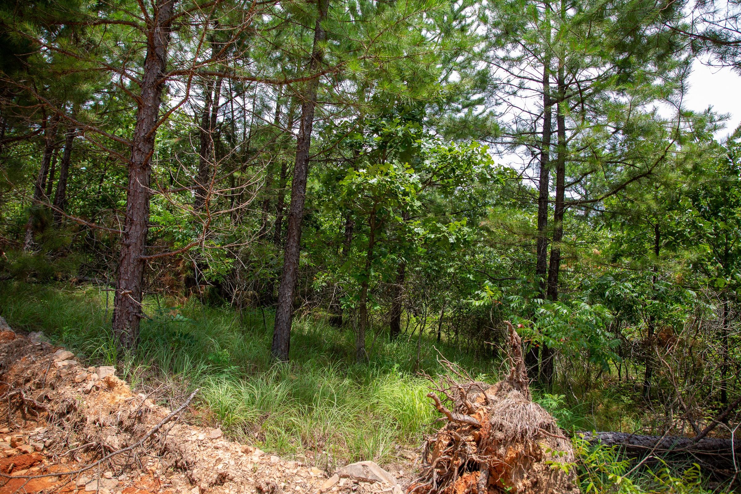 Tyler Stone Ranch Tract 44 photo 5