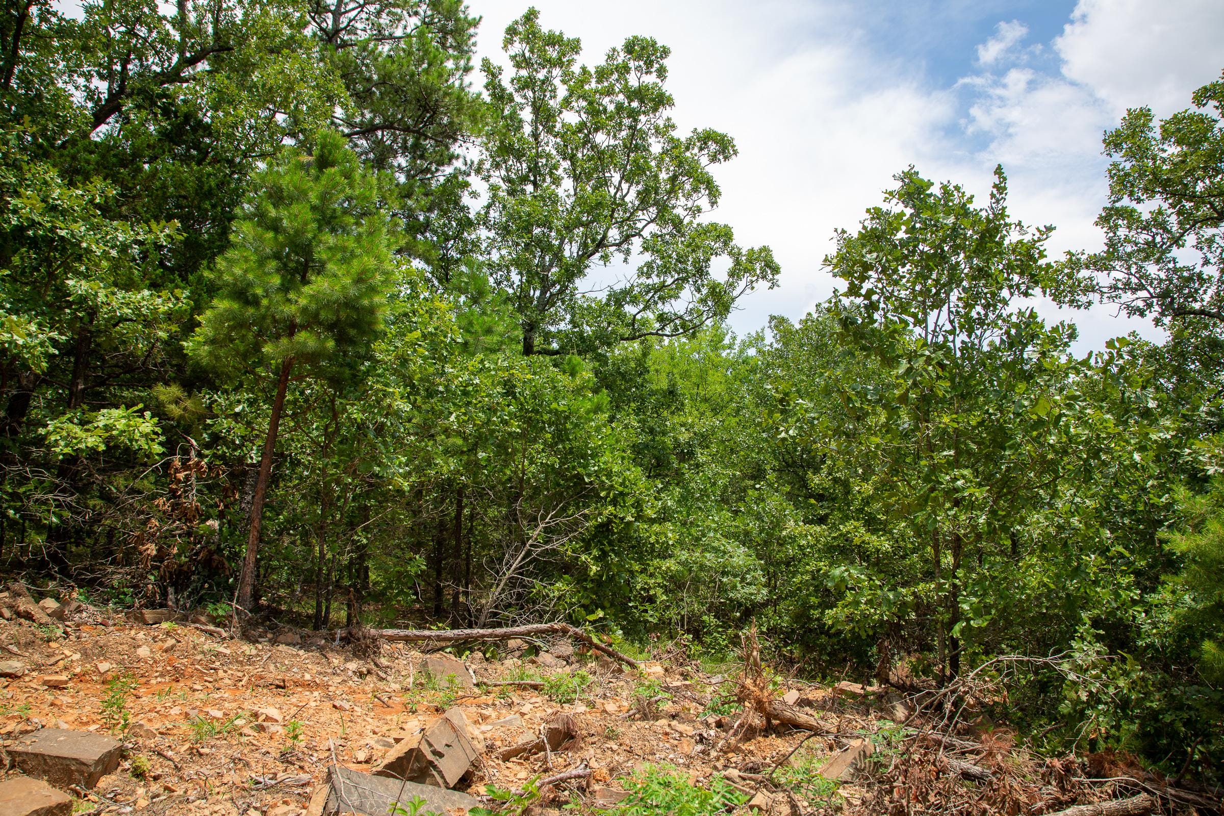 Tyler Stone Ranch Tract 44 photo 7