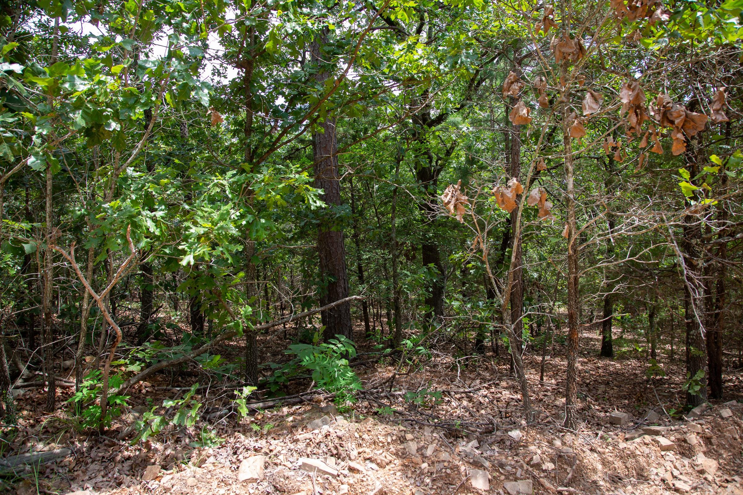 Tyler Stone Ranch Tract 44 photo 8