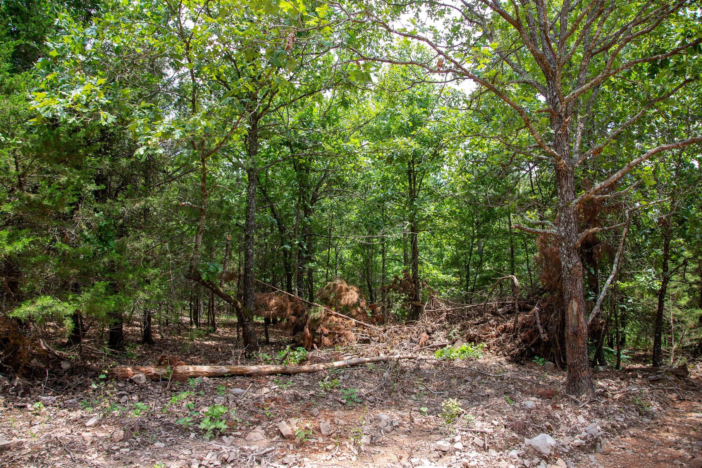 Tyler Stone Ranch Tract 44 photo 10