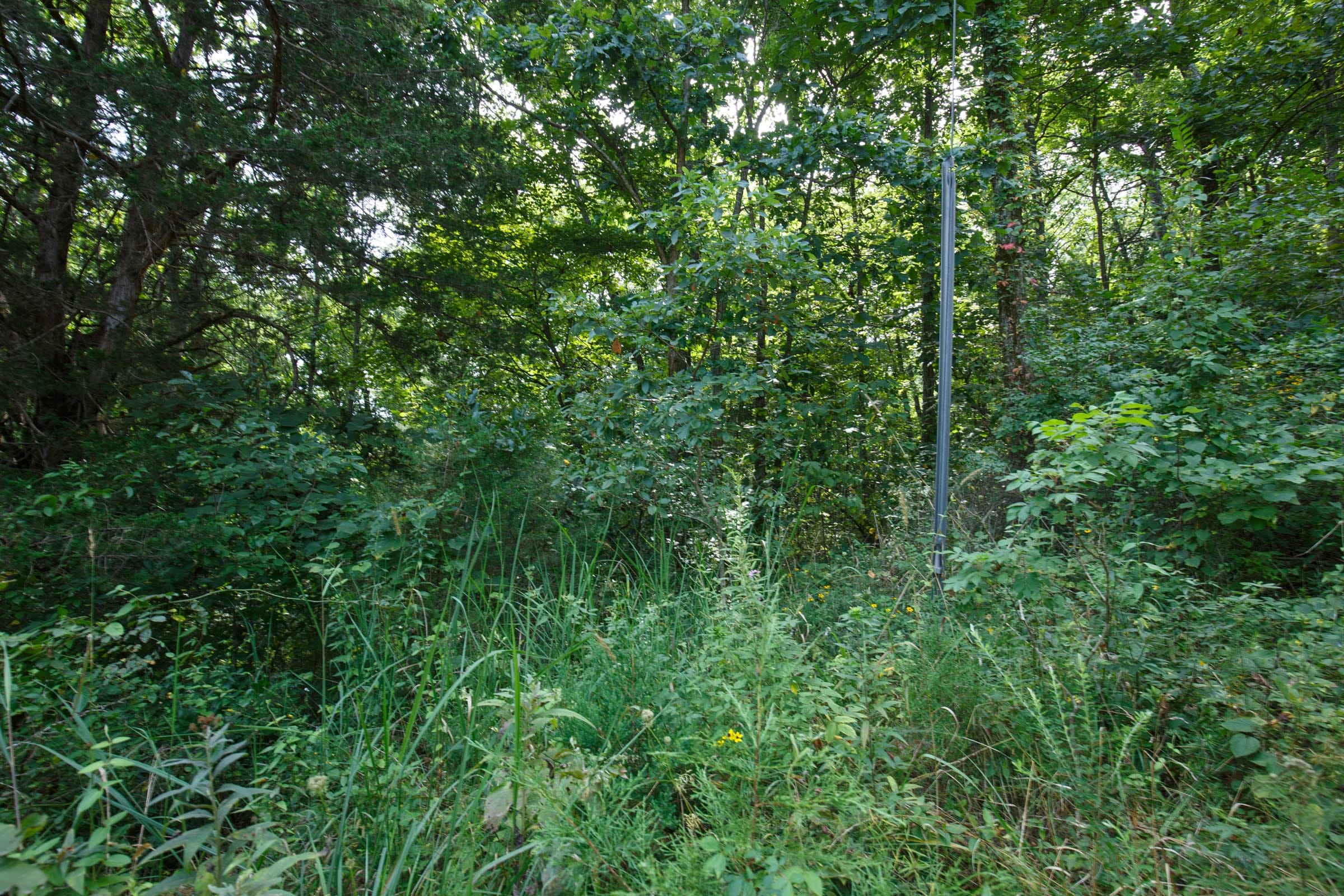 Spring Lake Plat 6 Tract 50 photo 2