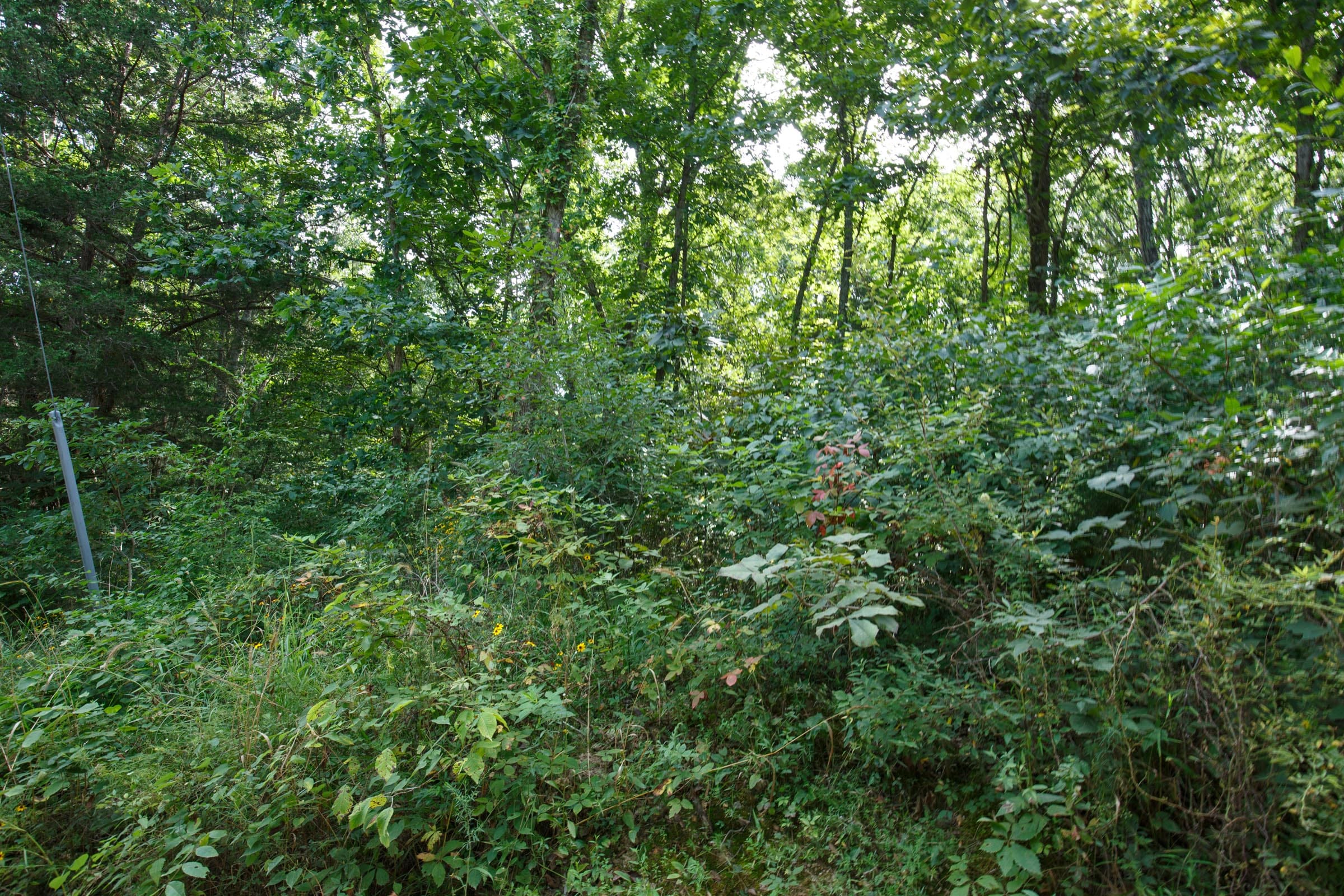Spring Lake Plat 6 Tract 50 photo 3