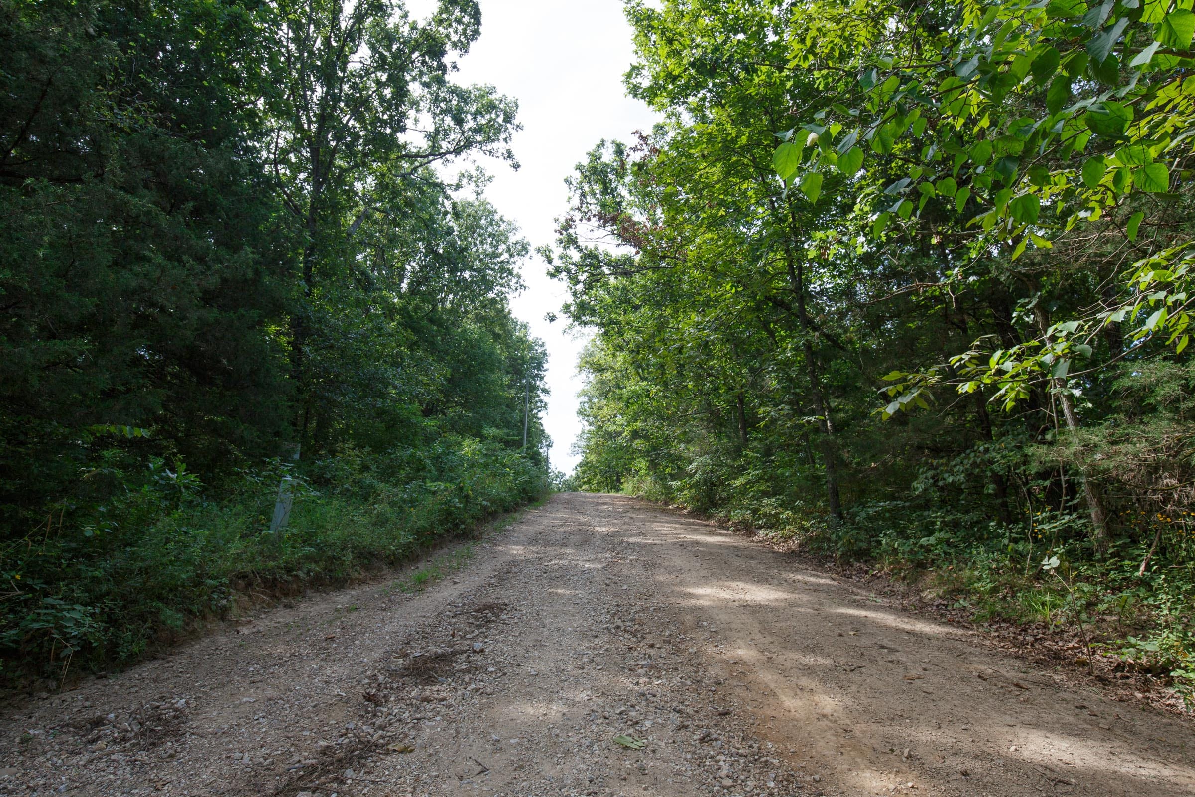 Spring Lake Plat 6 Tract 50 photo 4