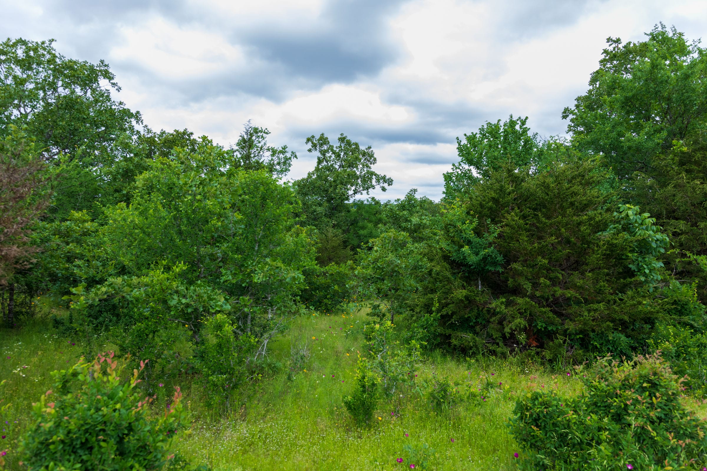 Falcon Crest Tract 30 photo 2