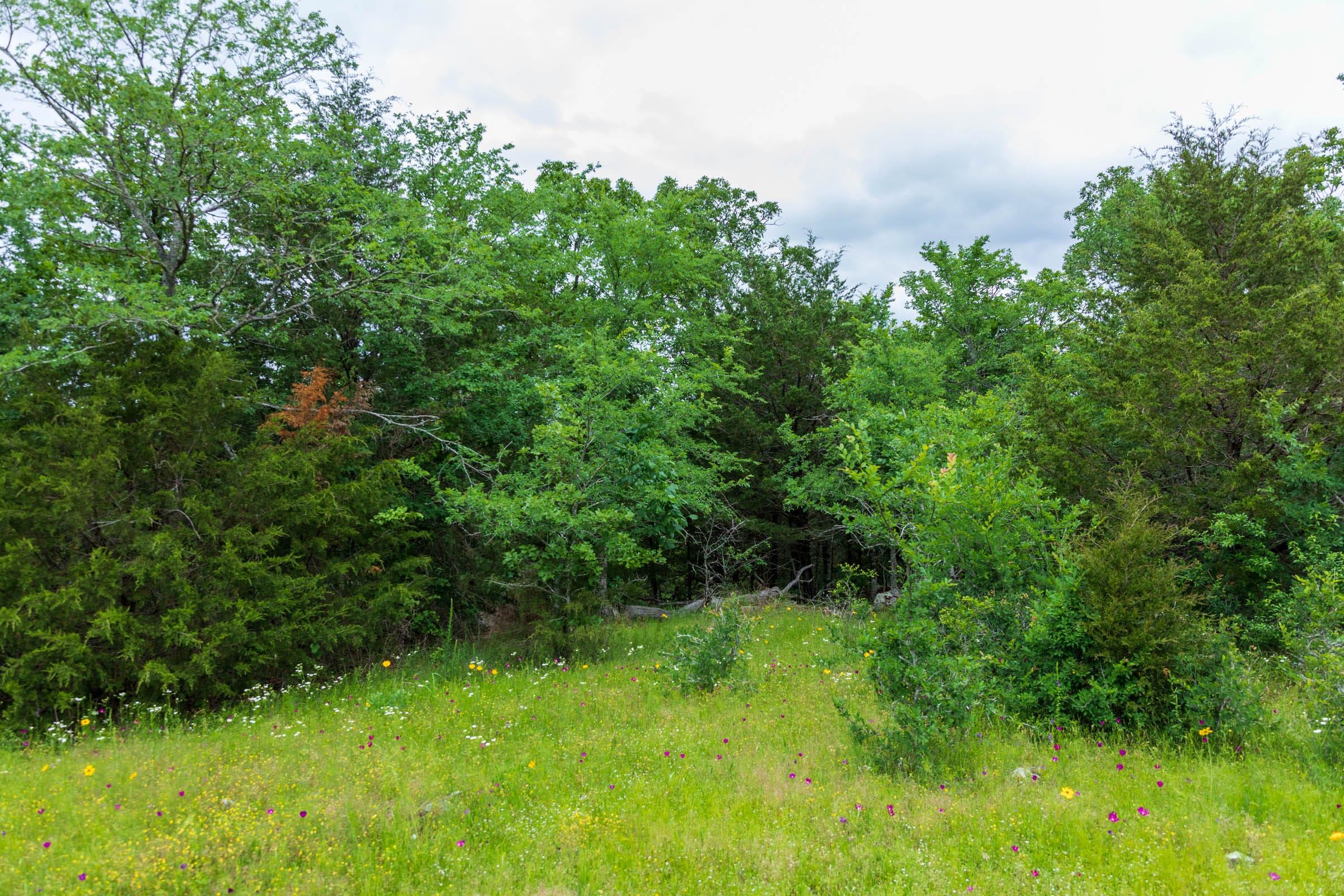 Falcon Crest Tract 30 photo 3