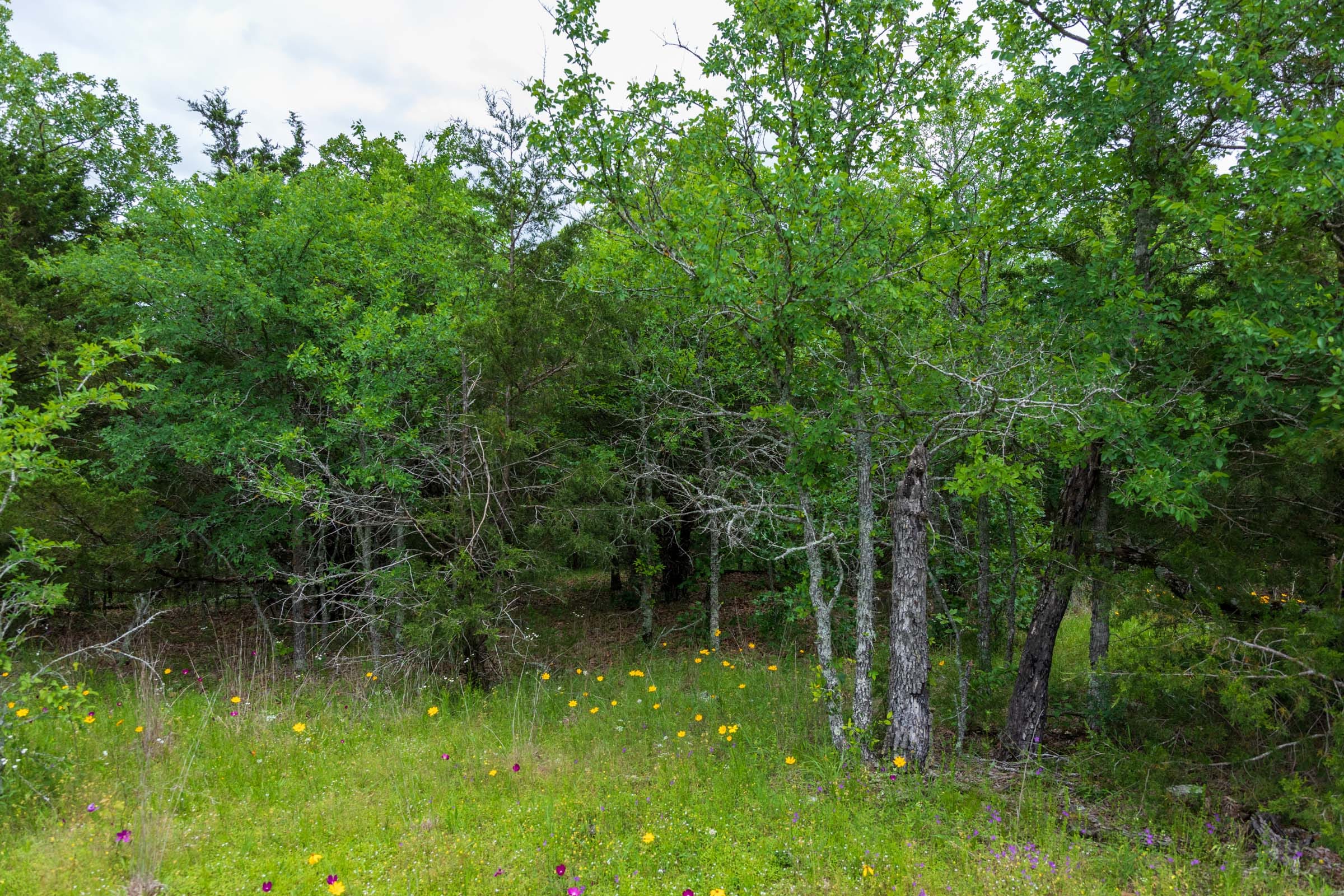 Falcon Crest Tract 30 photo 4