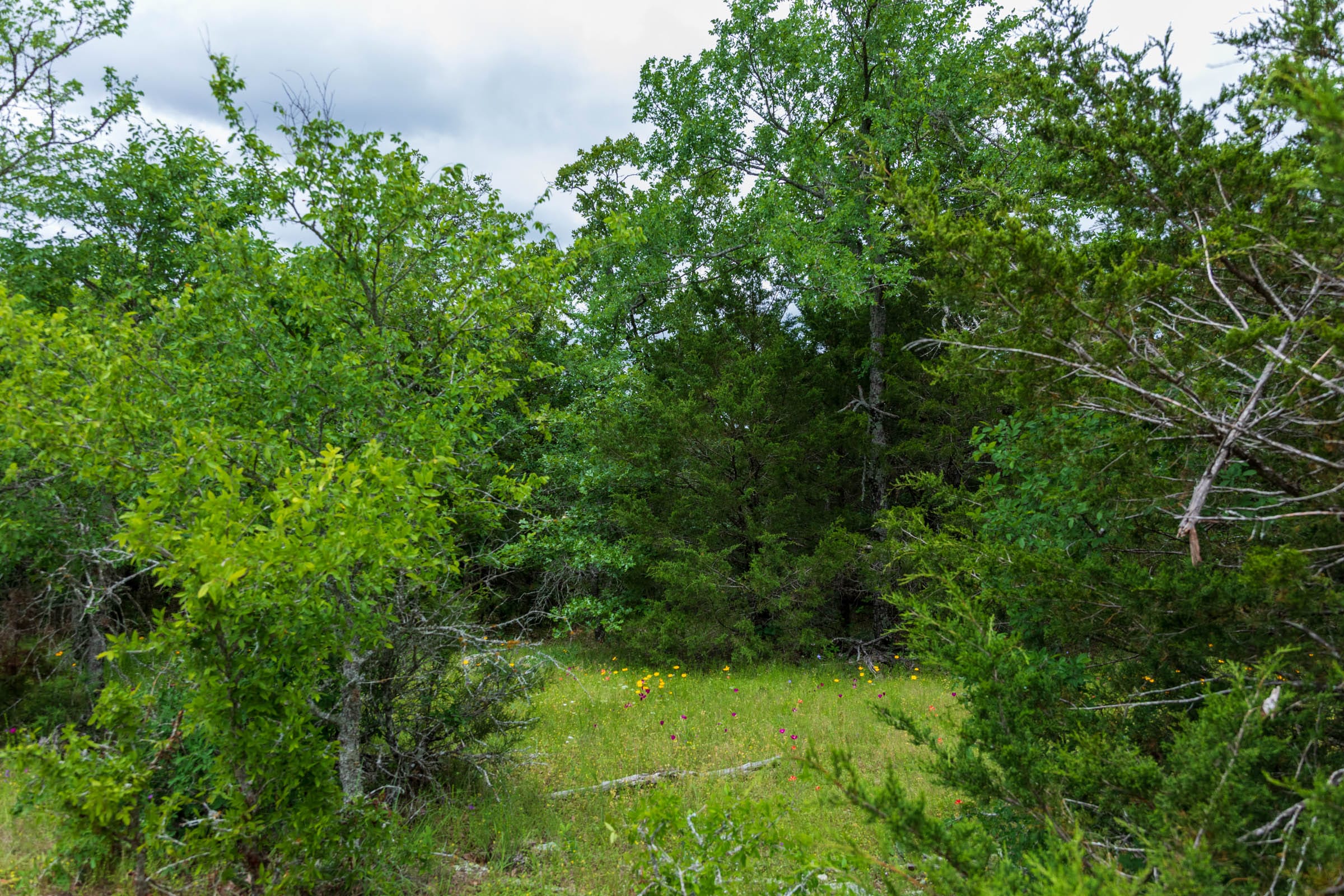 Falcon Crest Tract 30 photo 6