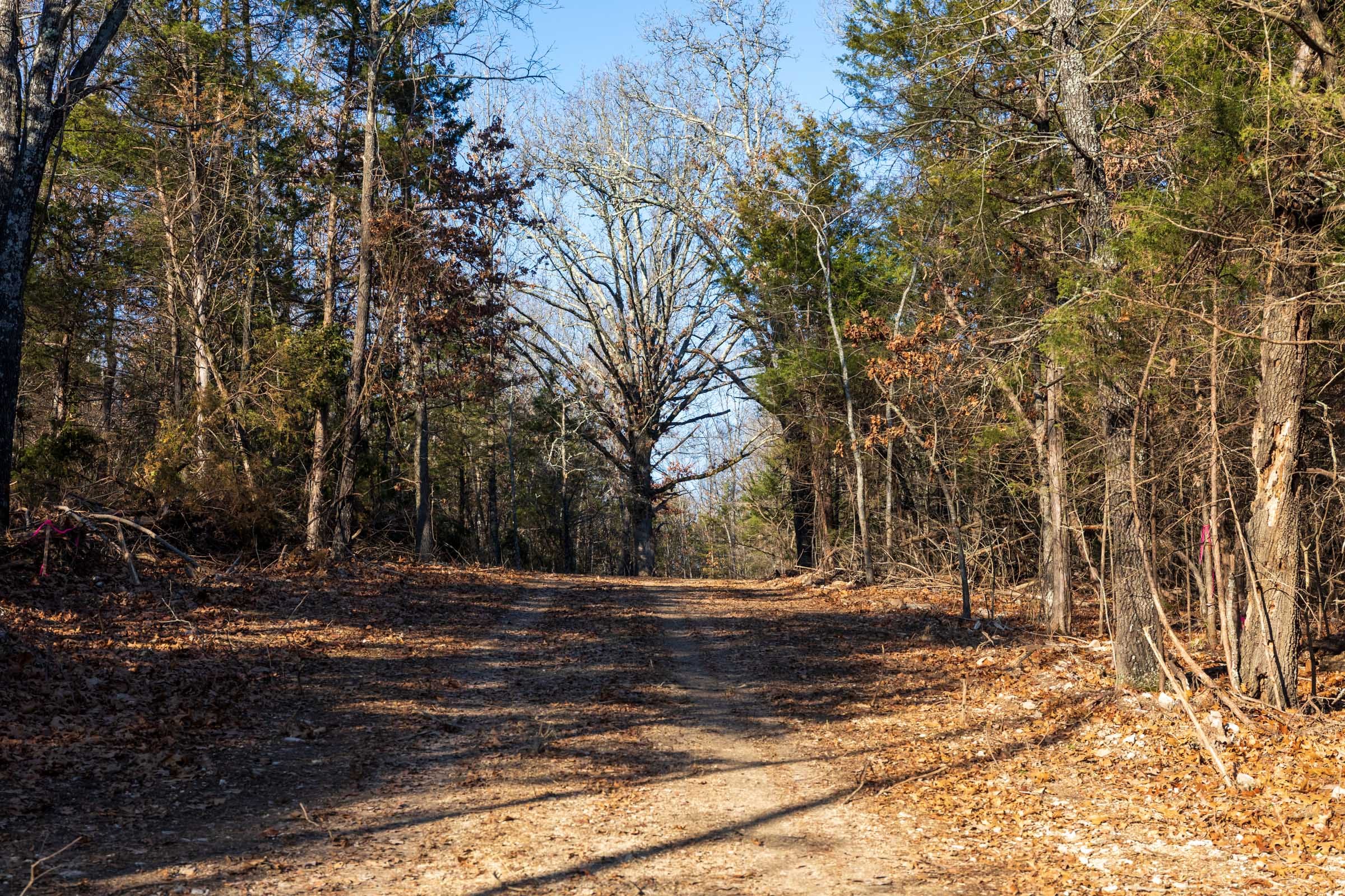 Crossroads Tract 13 photo 1