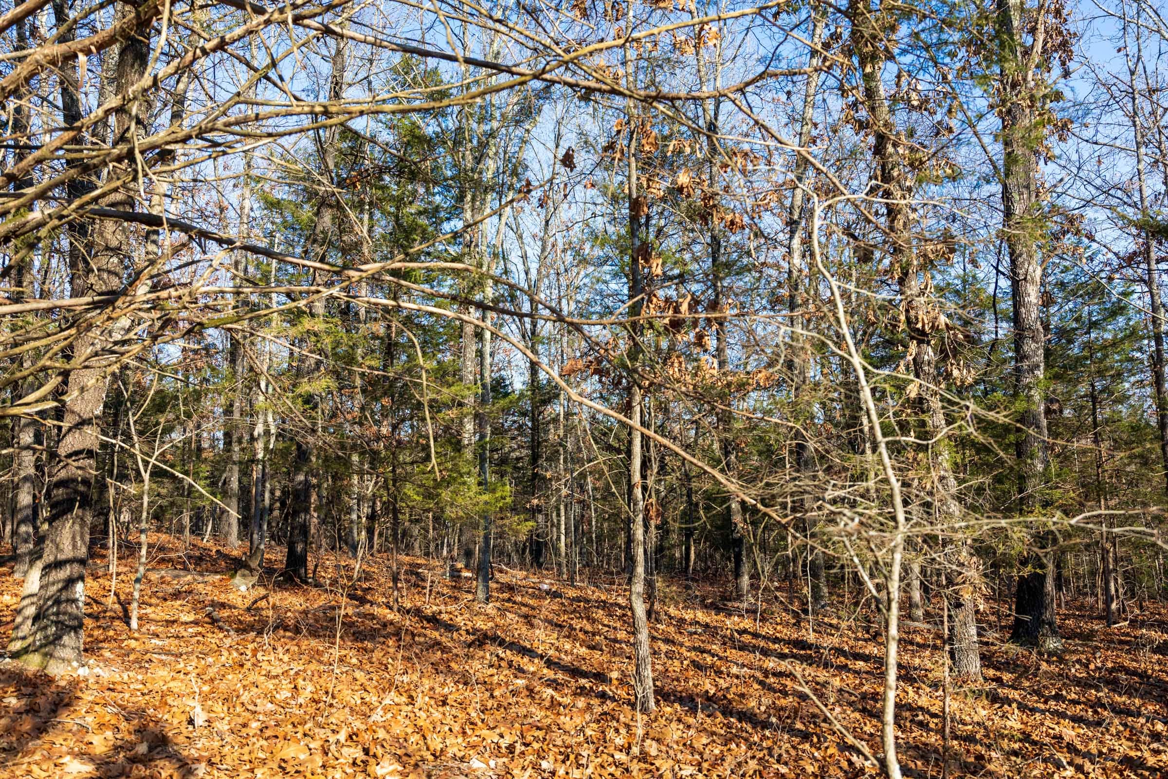 Crossroads Tract 13 photo 2