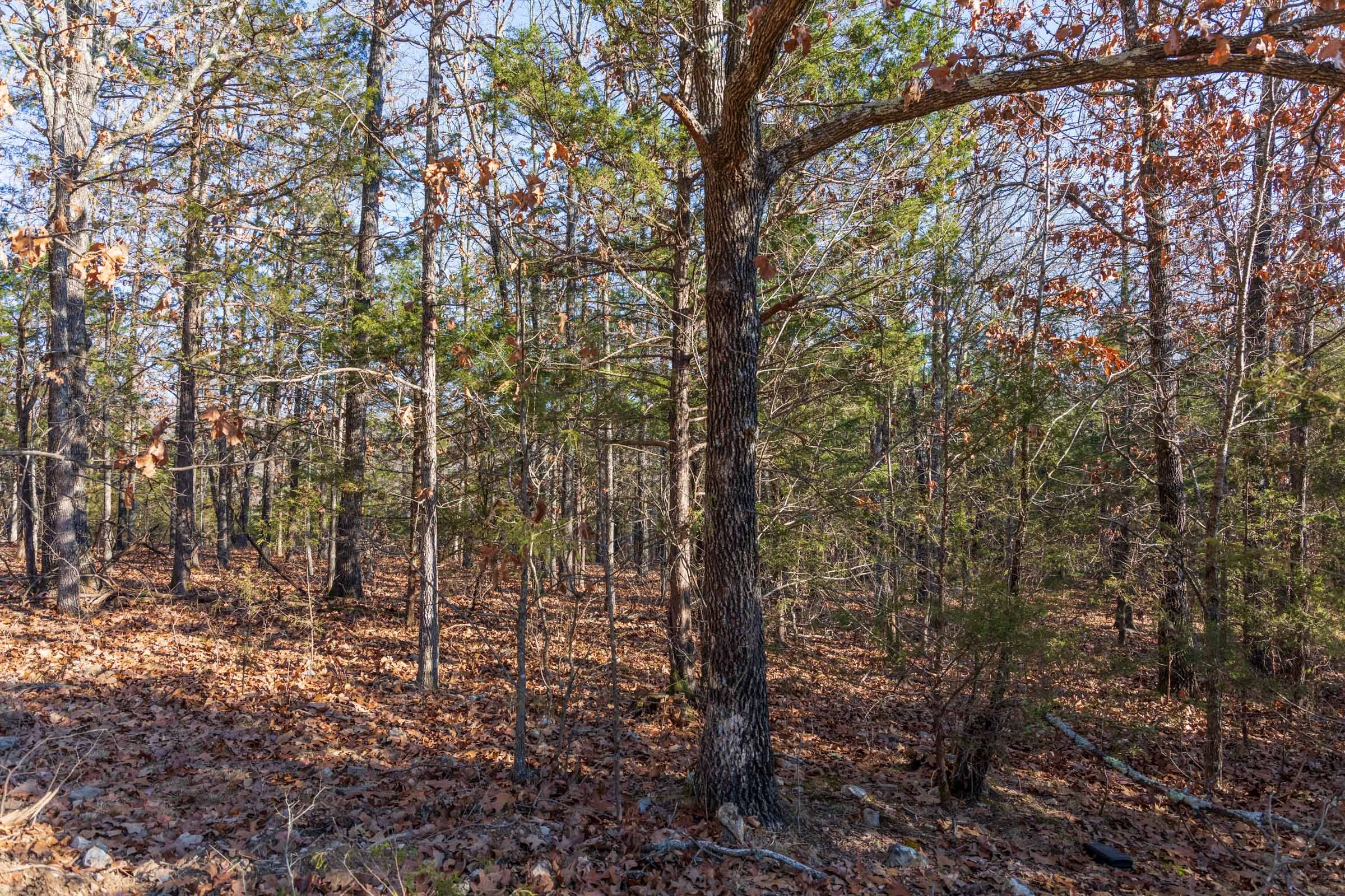 Crossroads Tract 13 photo 3